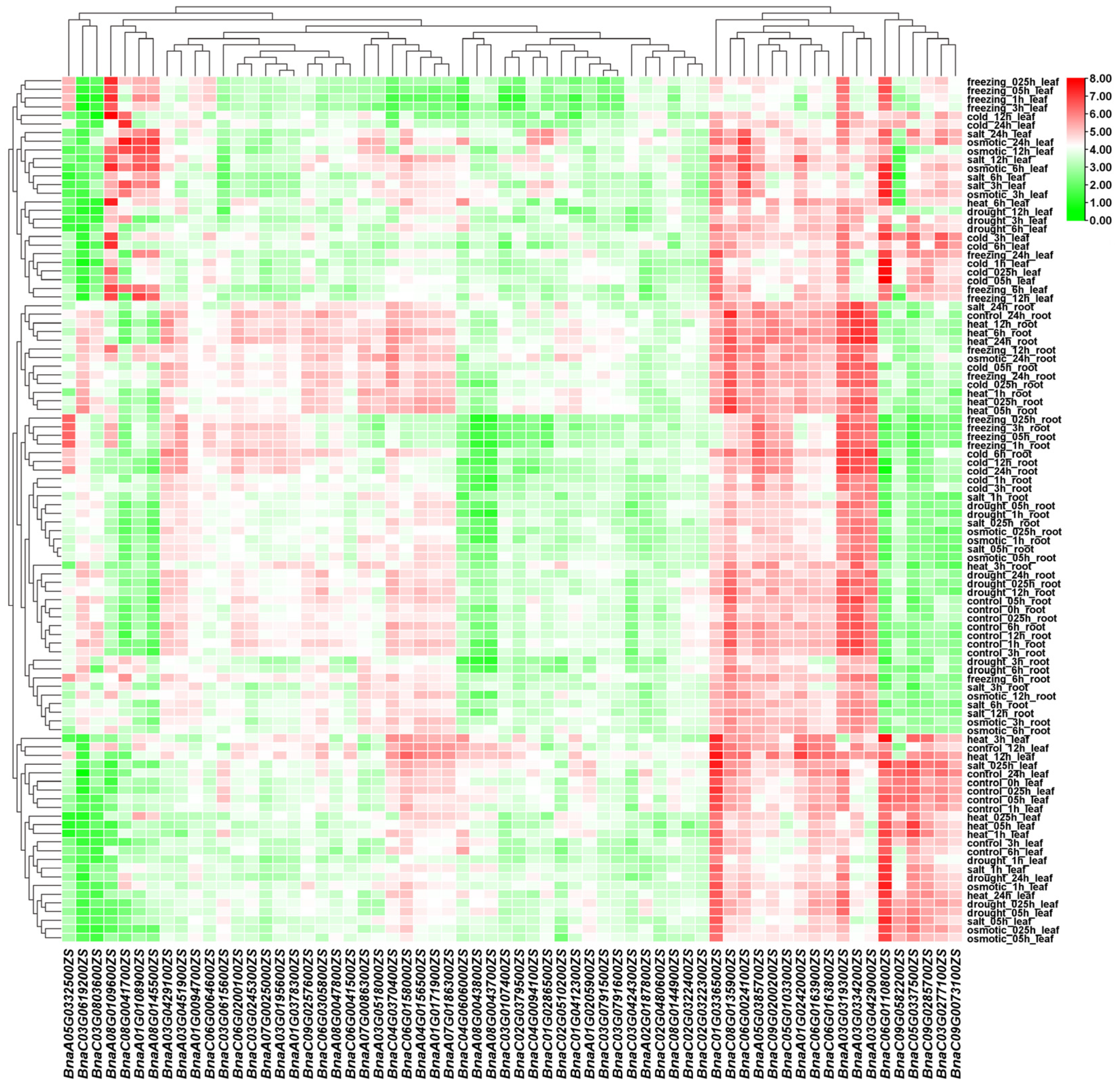Horticulturae 11 00826 g007