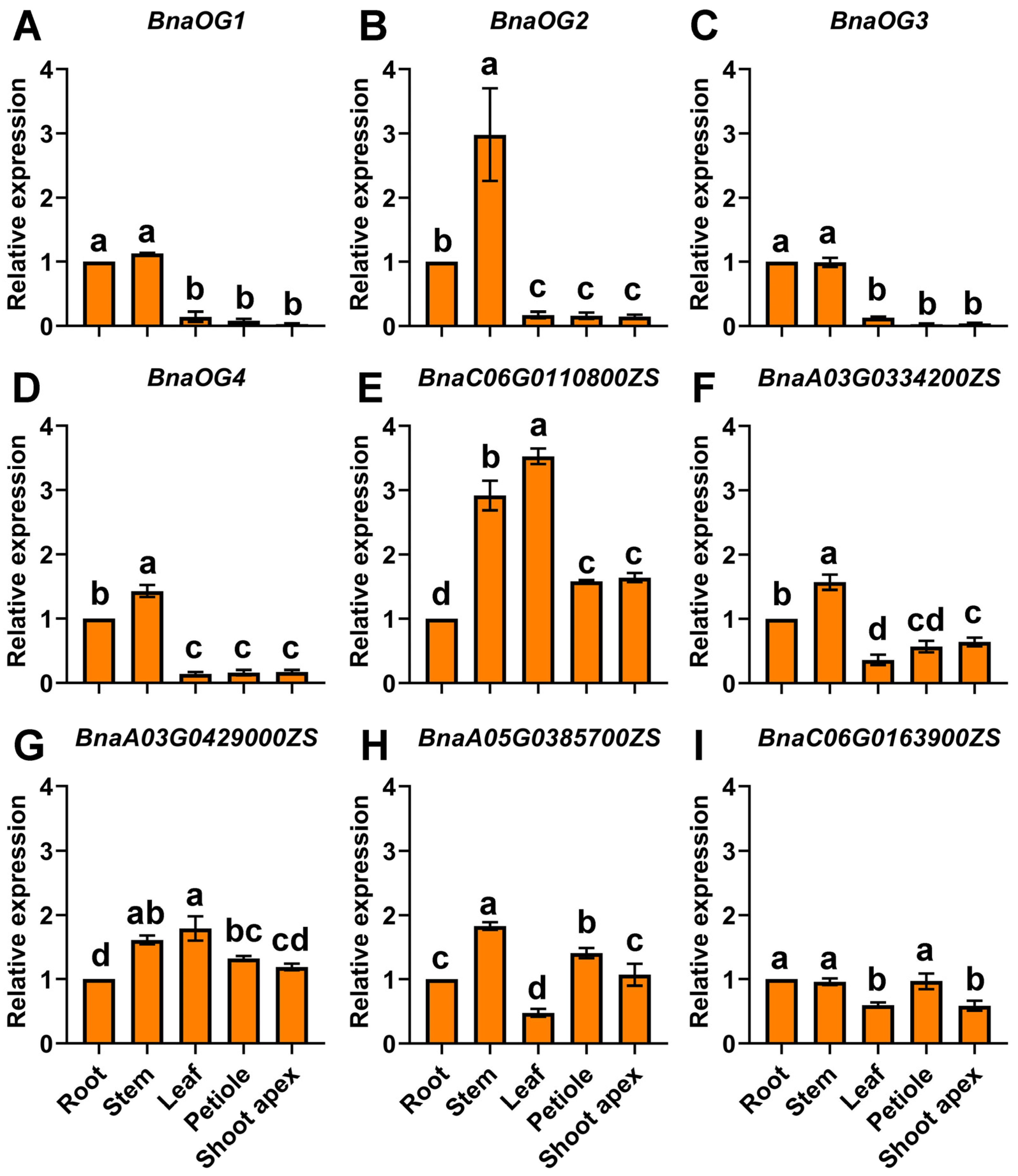 Horticulturae 11 00826 g008
