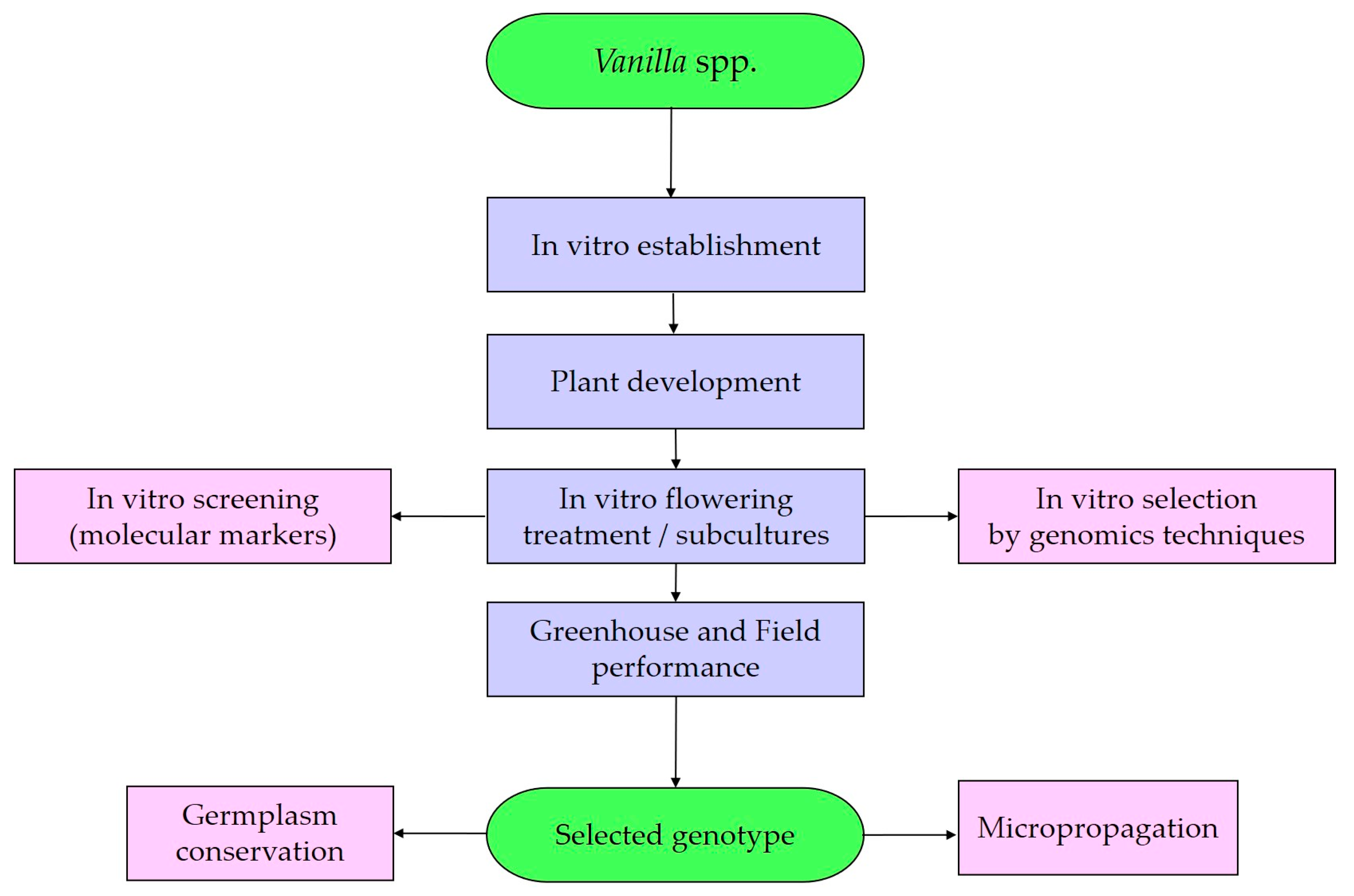 Horticulturae 11 00829 g004
