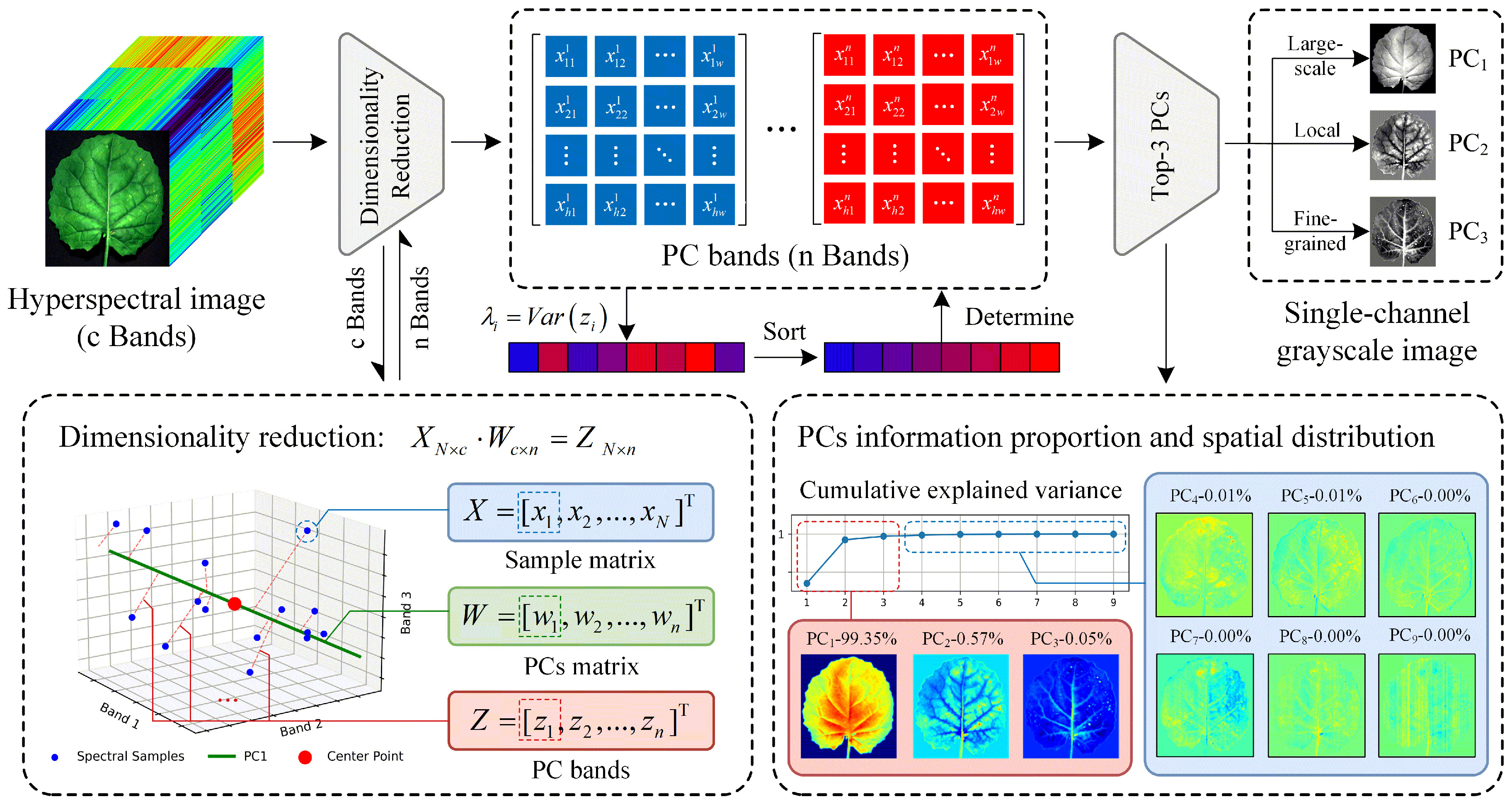 Horticulturae 11 00840 g002