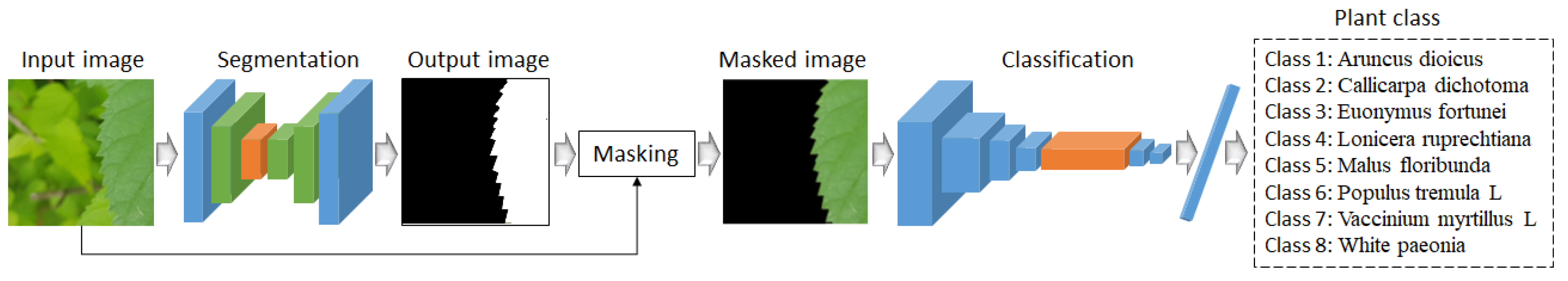 Horticulturae 11 00843 g004