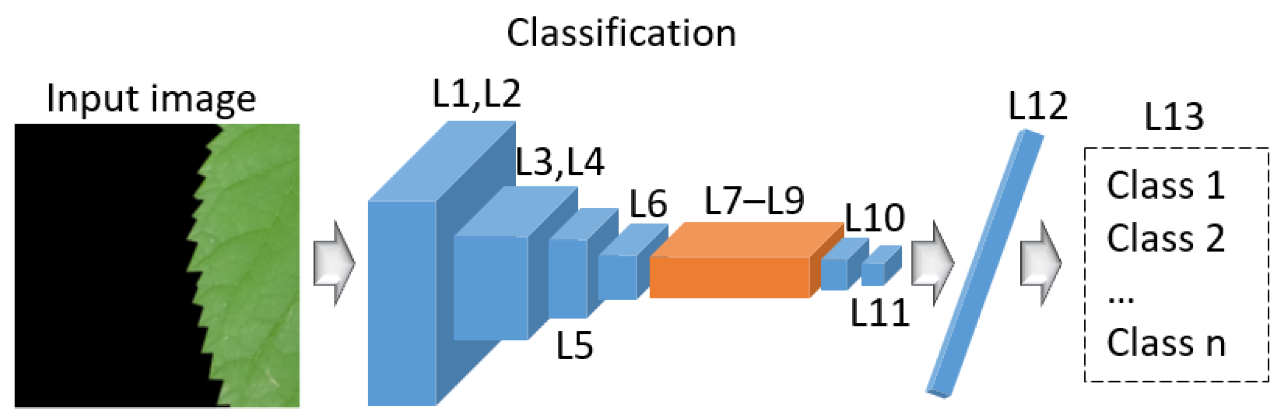 Horticulturae 11 00843 g006