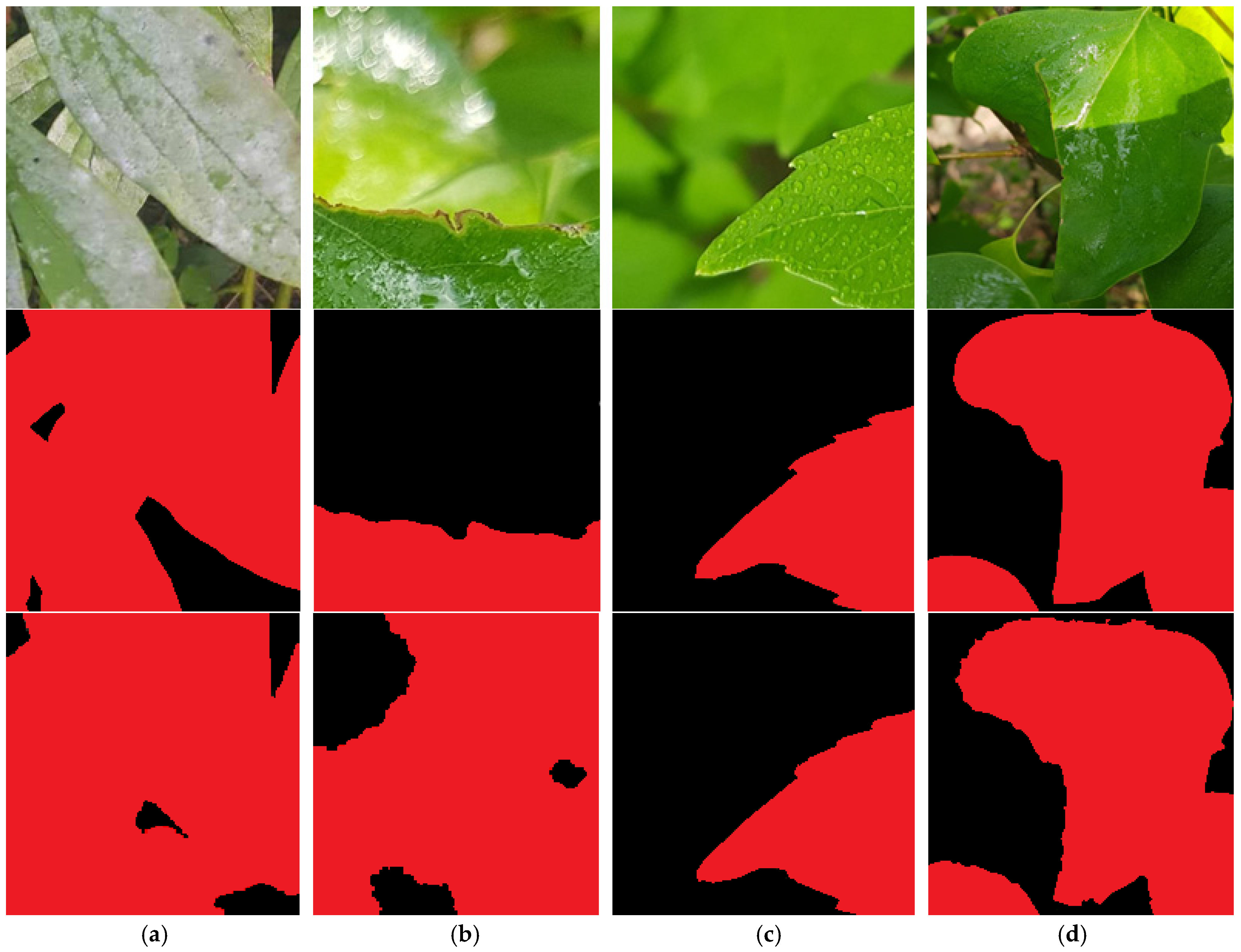 Horticulturae 11 00843 g008