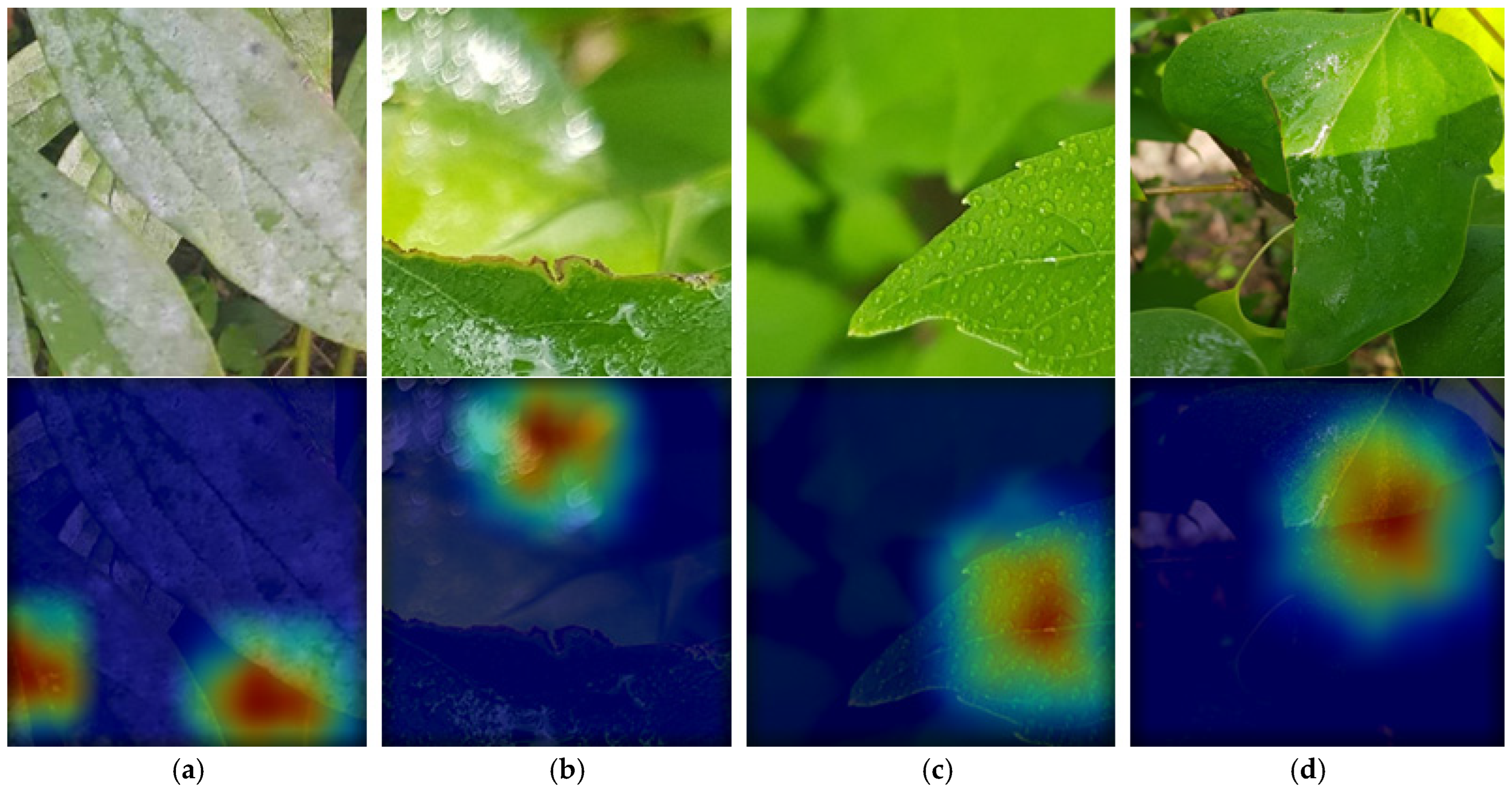 Horticulturae 11 00843 g009