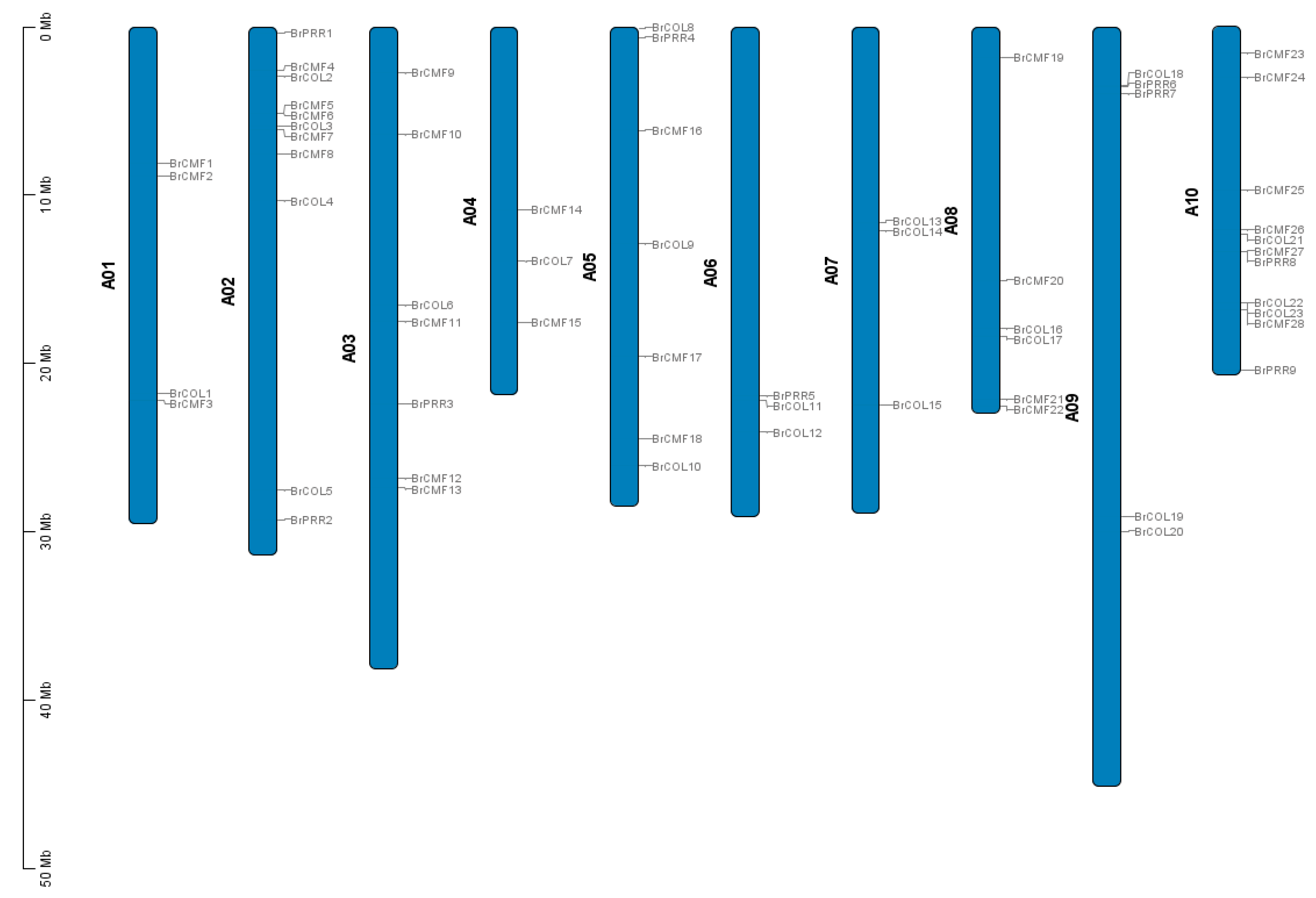 Horticulturae 11 00848 g002