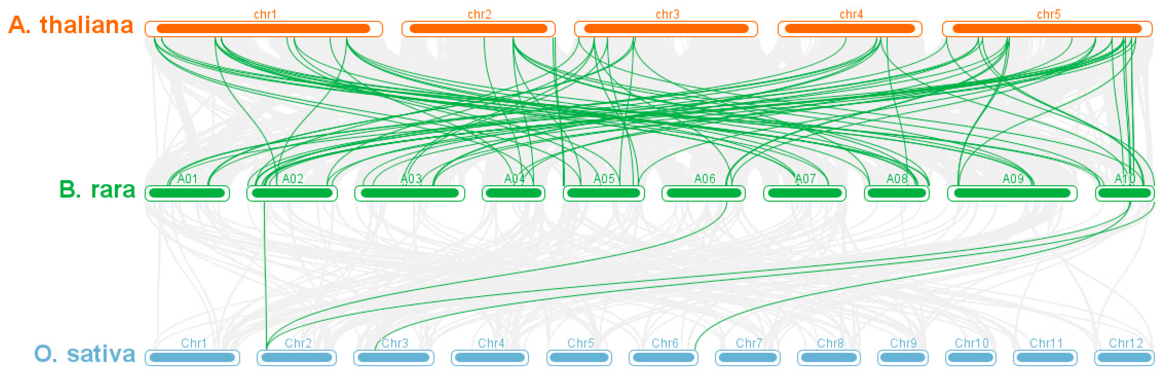Horticulturae 11 00848 g004