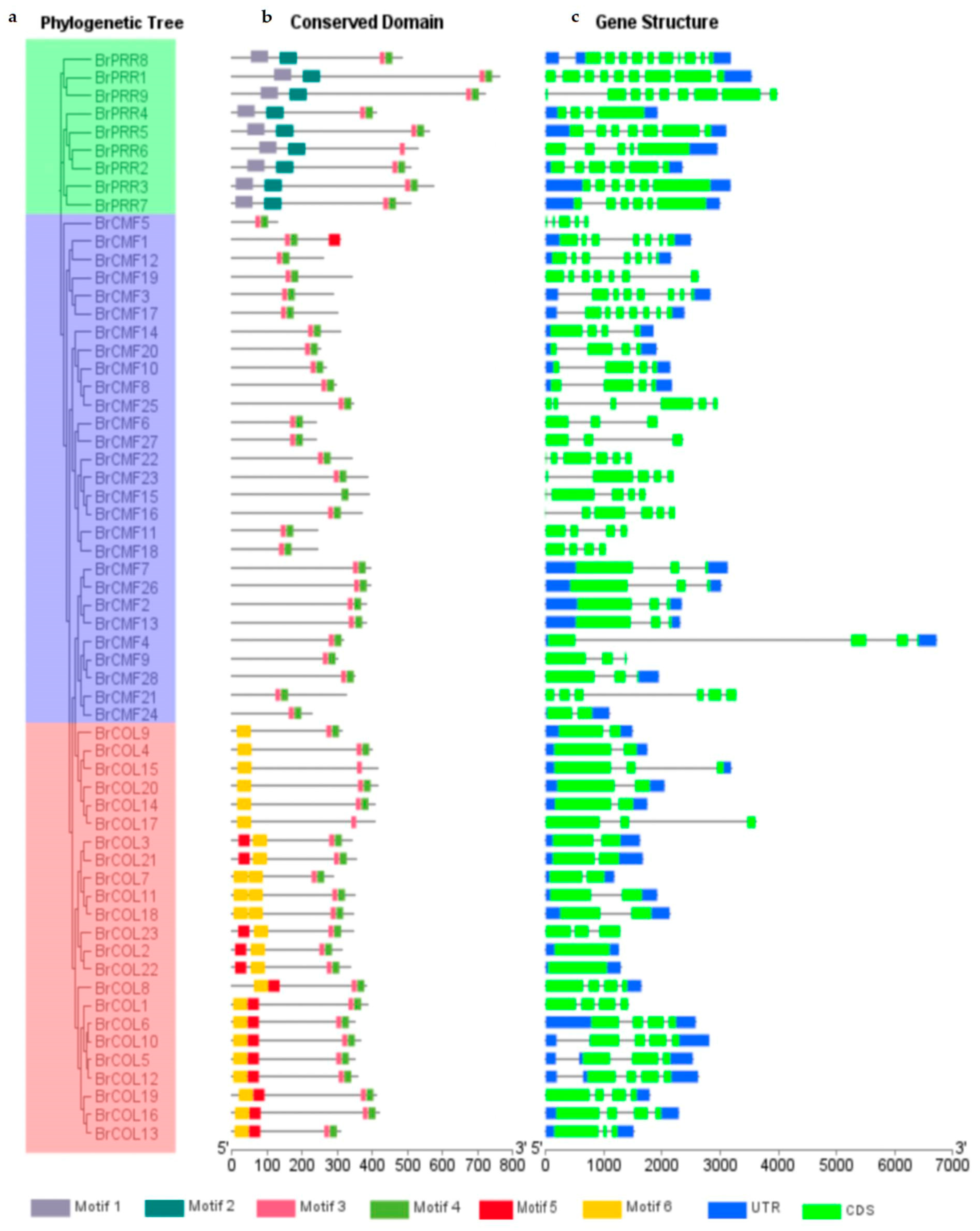 Horticulturae 11 00848 g005