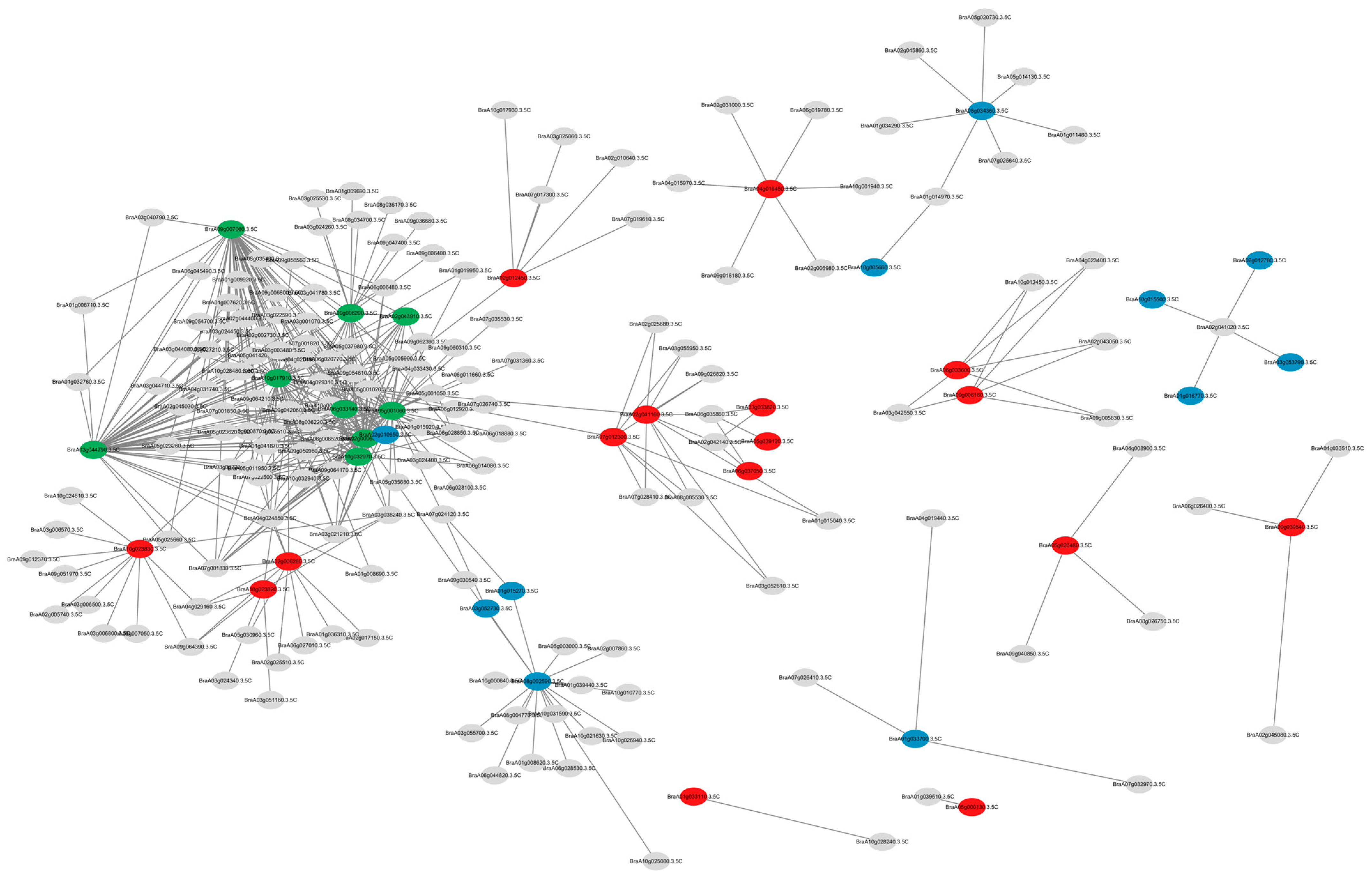 Horticulturae 11 00848 g006