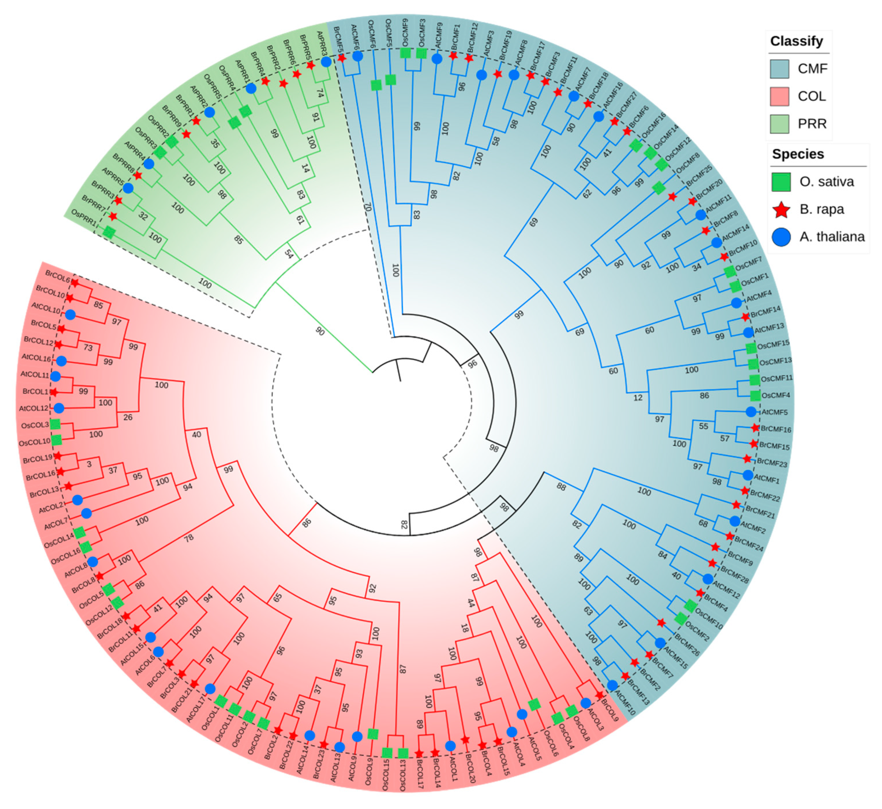 Horticulturae 11 00848 g007