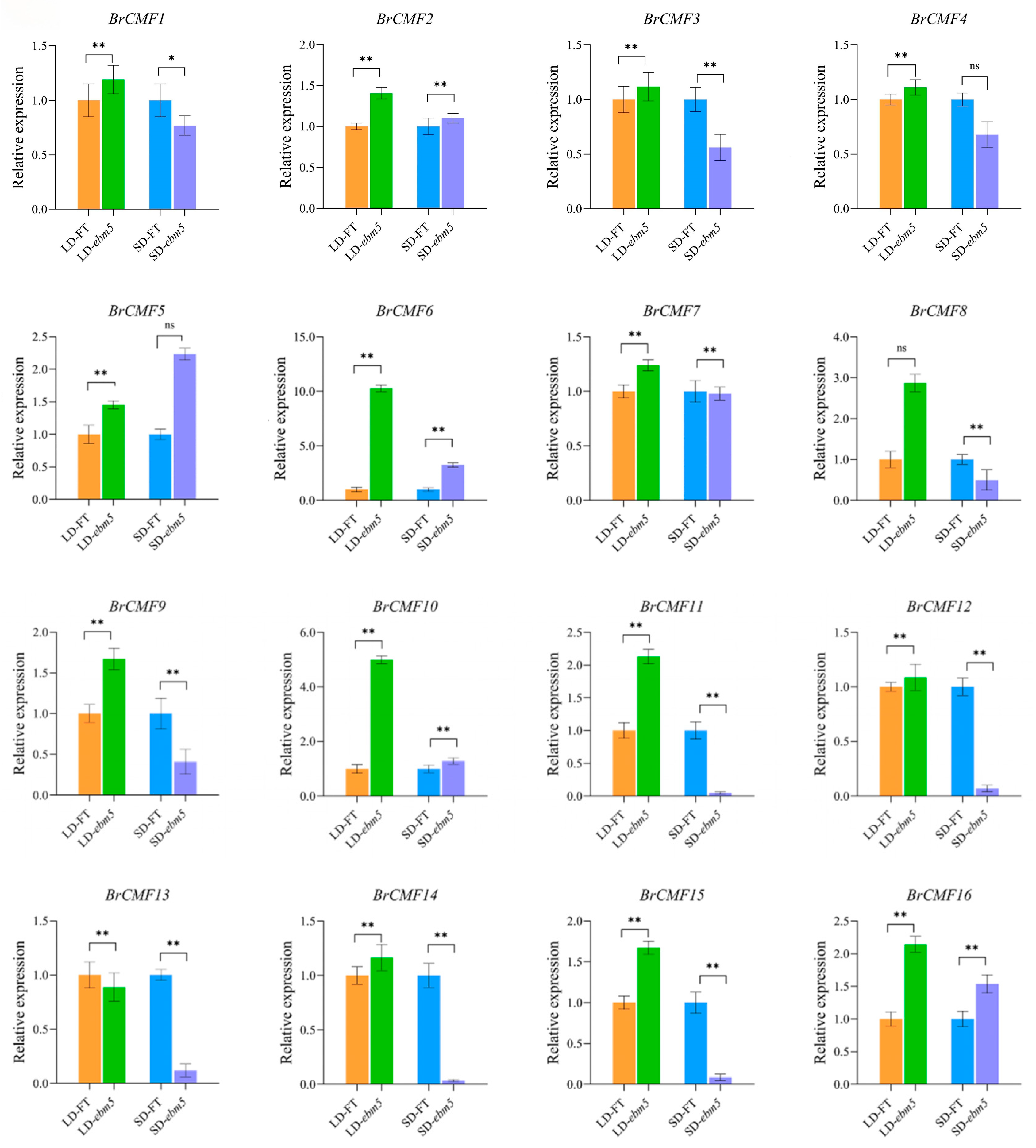 Horticulturae 11 00848 g009a