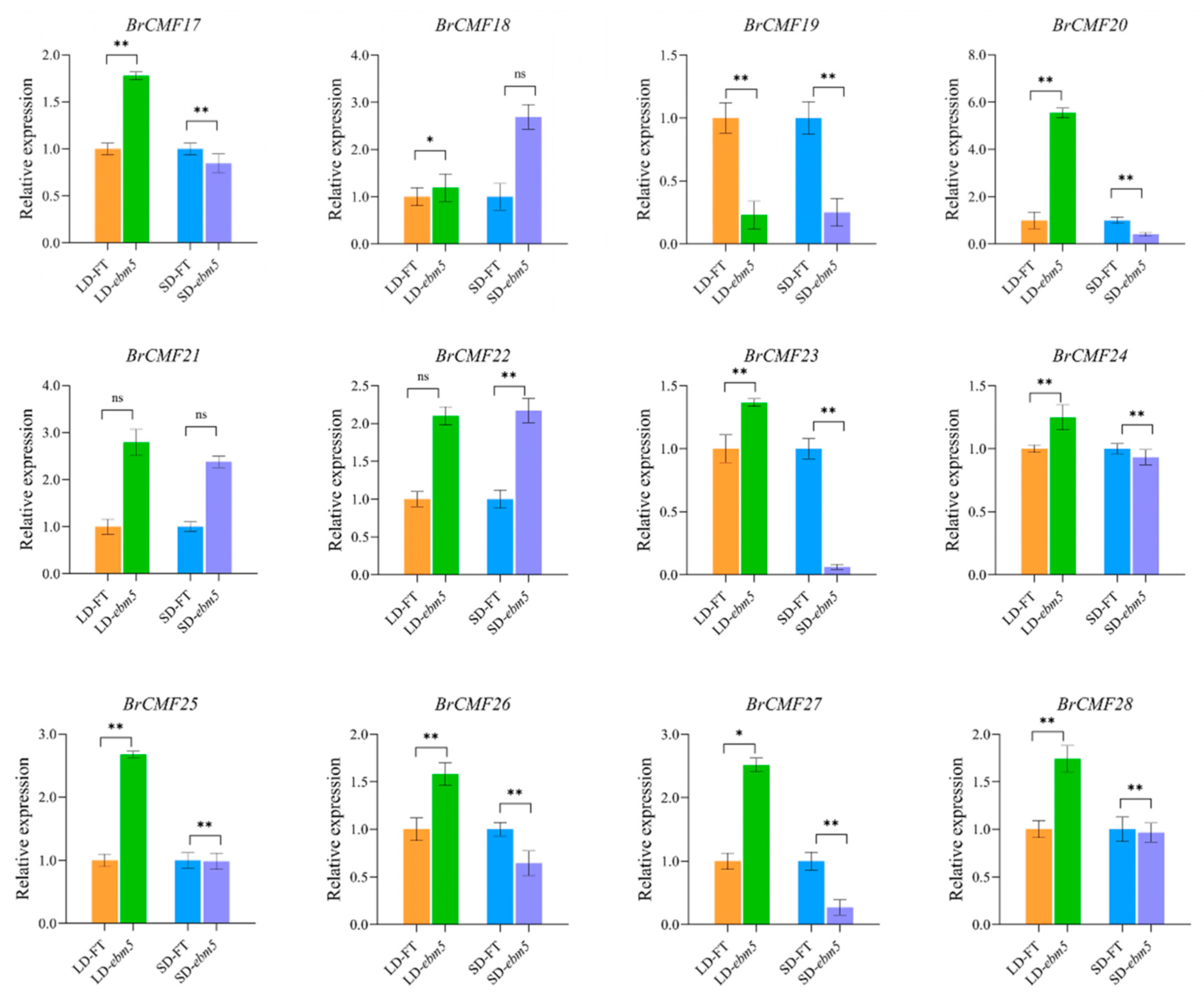 Horticulturae 11 00848 g009b