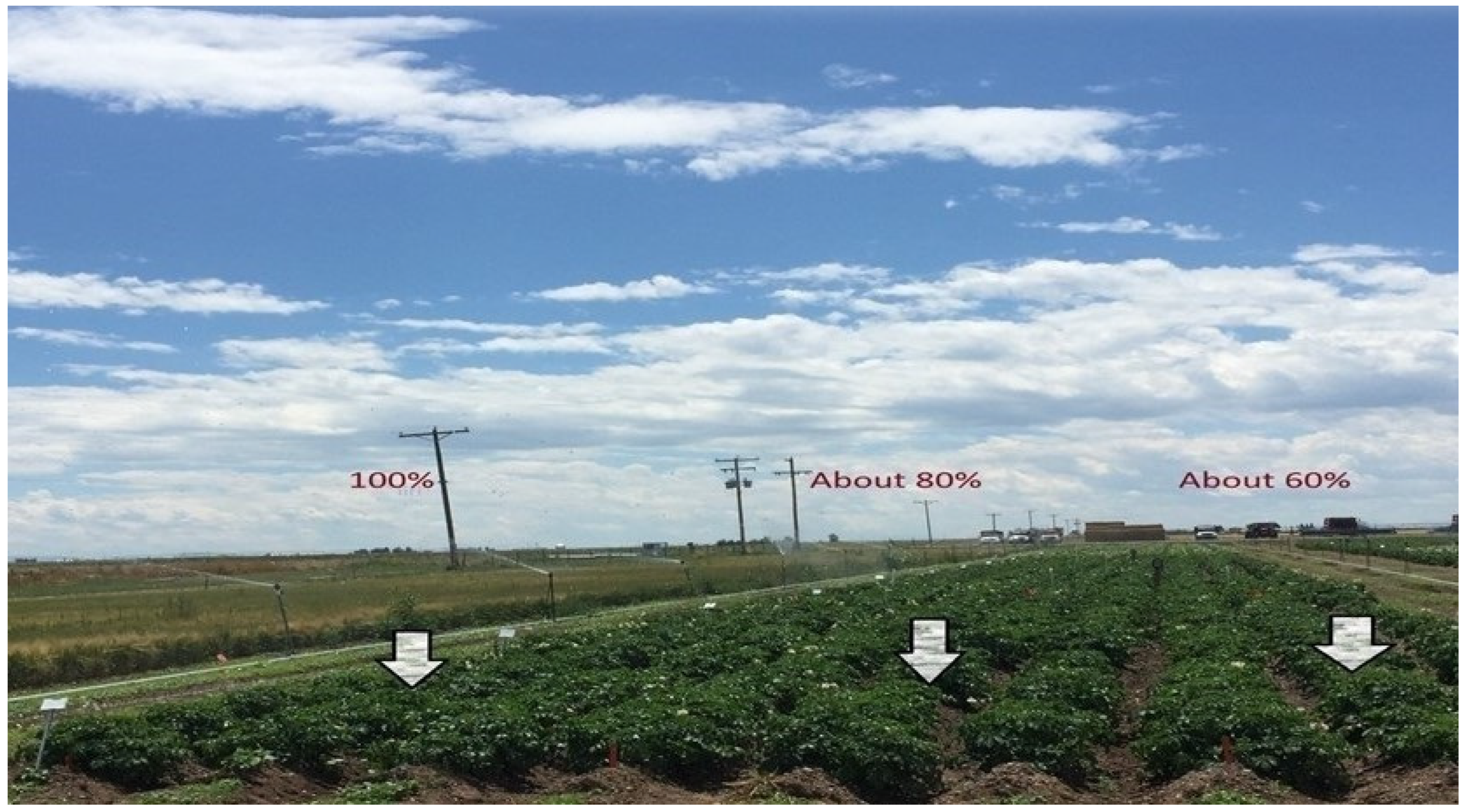 Horticulturae 11 00849 g001