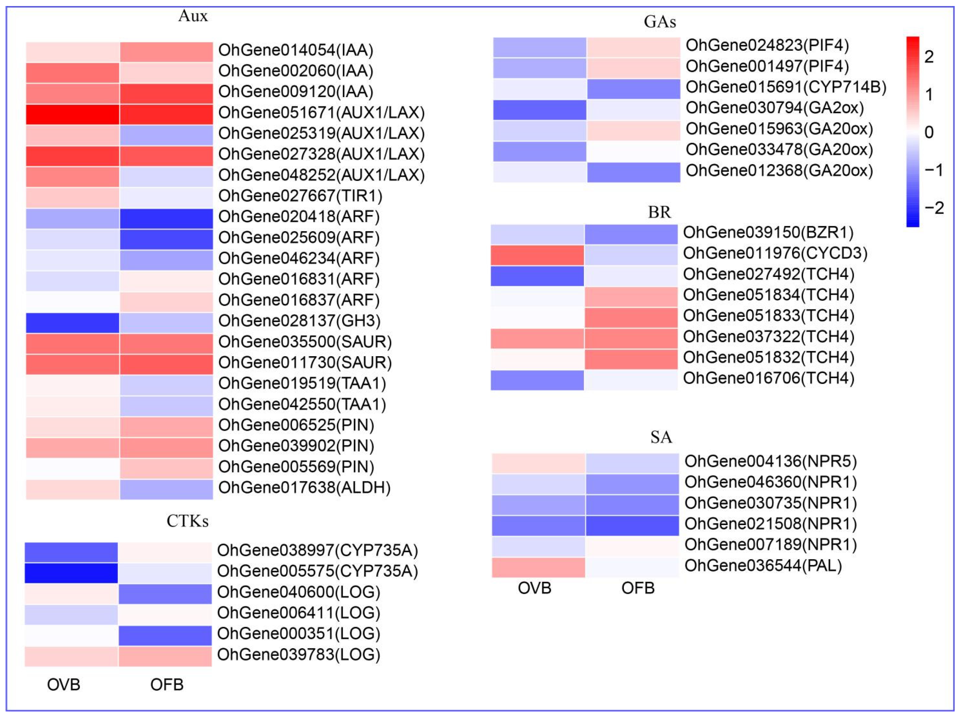 Horticulturae 11 00852 g005