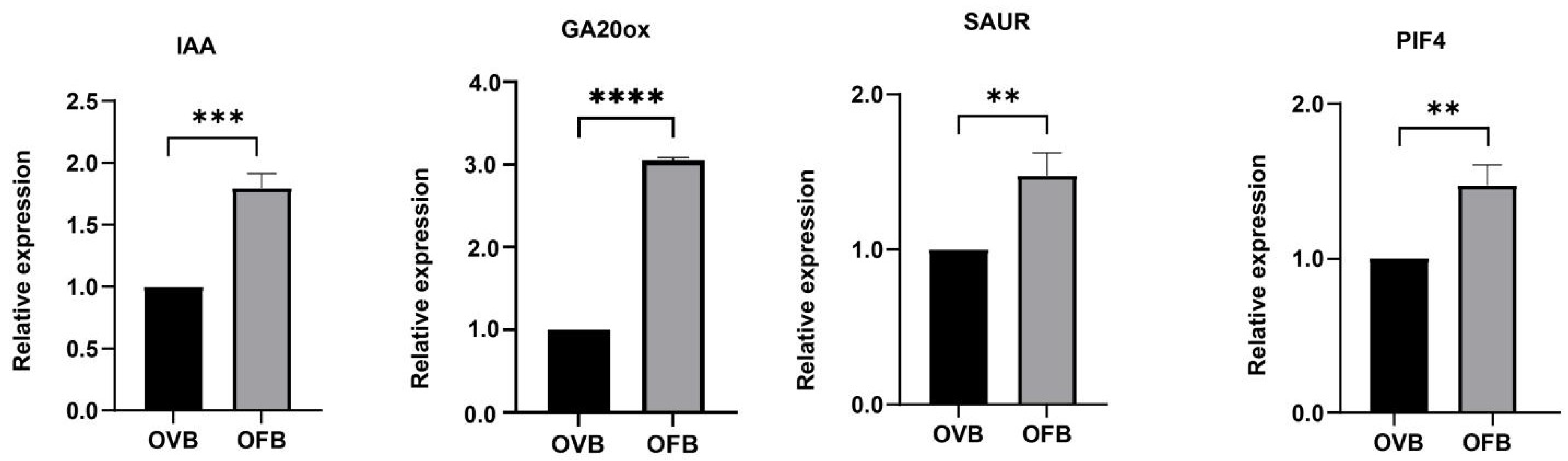 Horticulturae 11 00852 g006