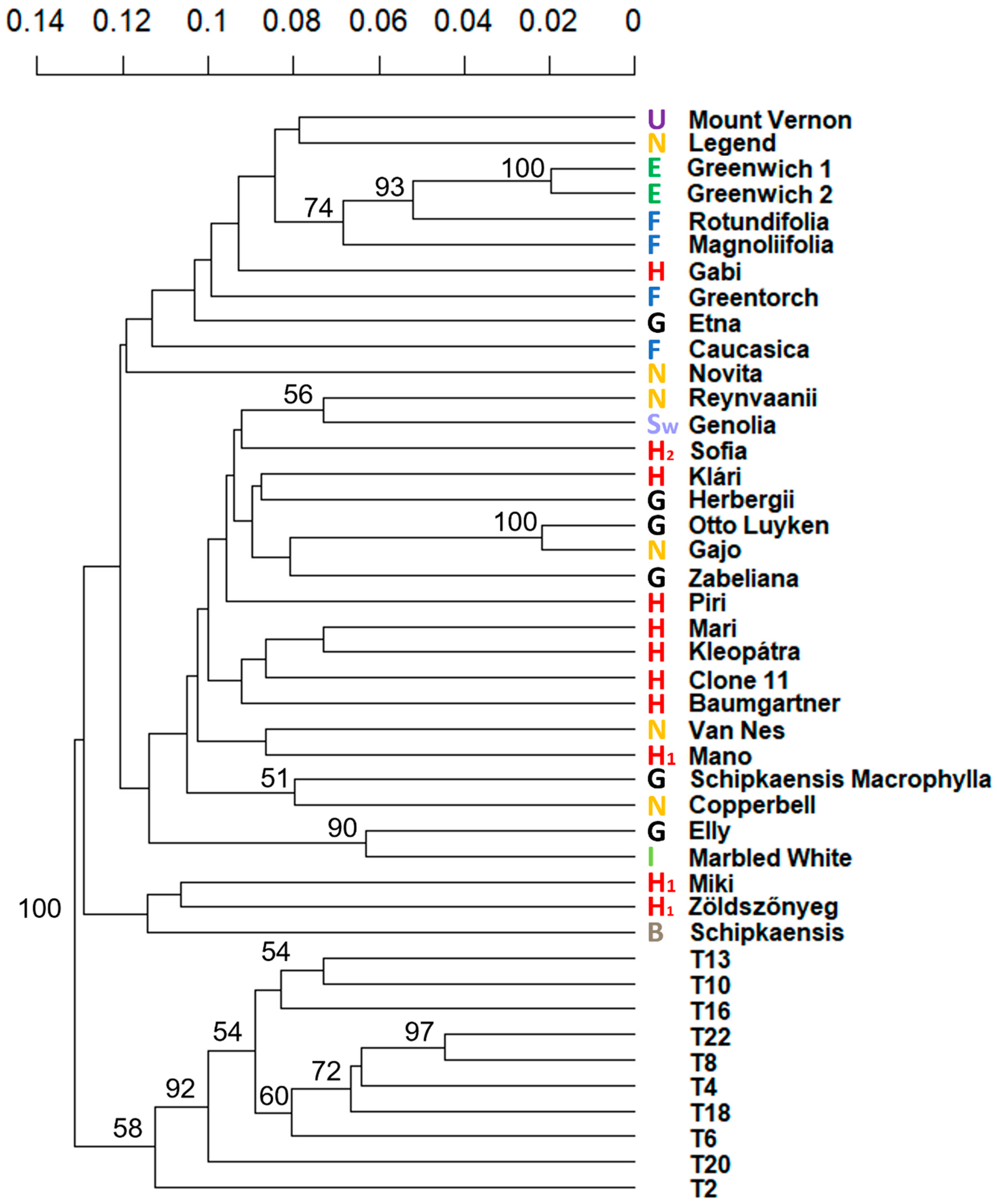 Horticulturae 11 00854 g001 Horticulturae 11 00854 g001