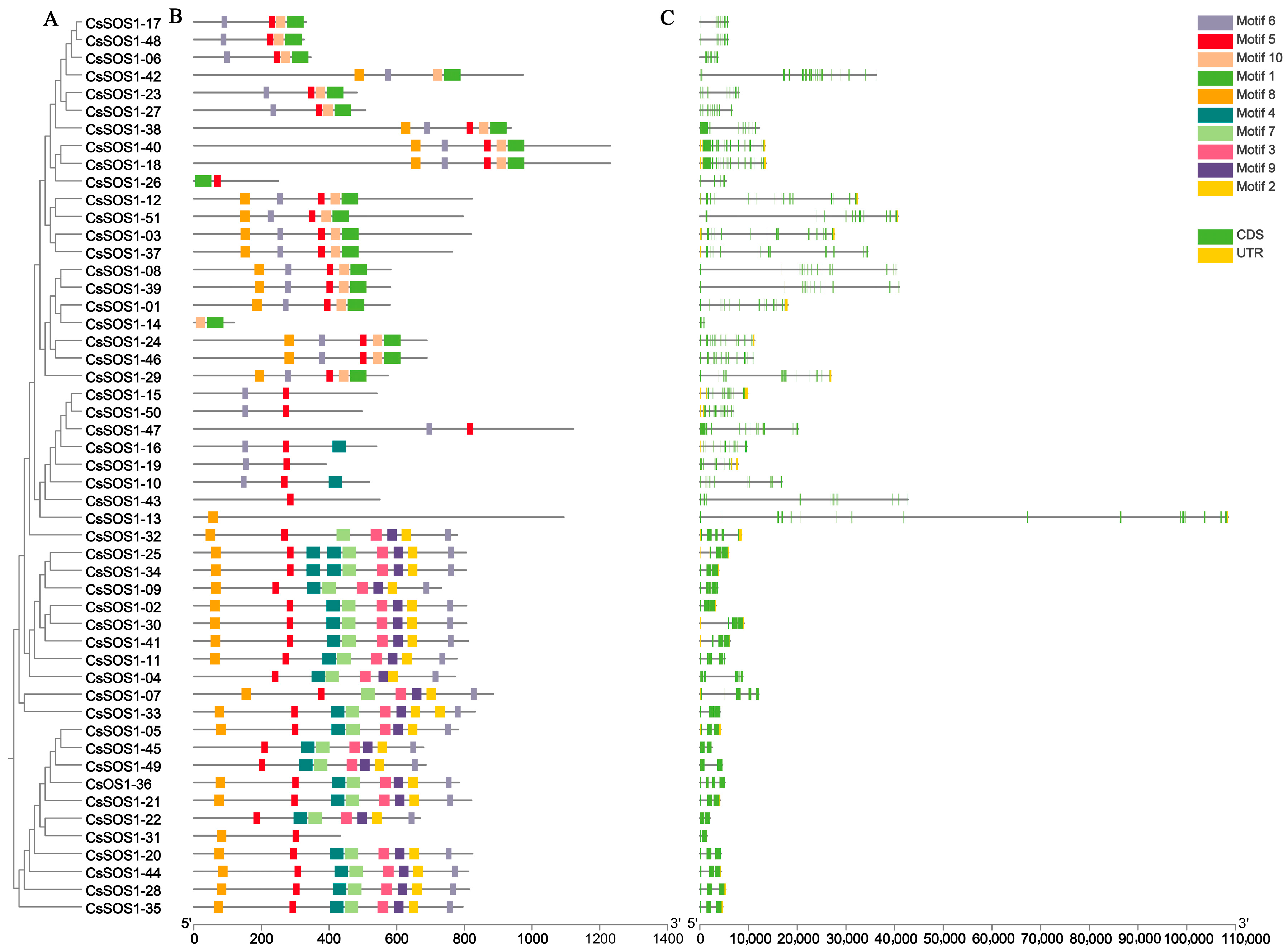 Horticulturae 11 00855 g004