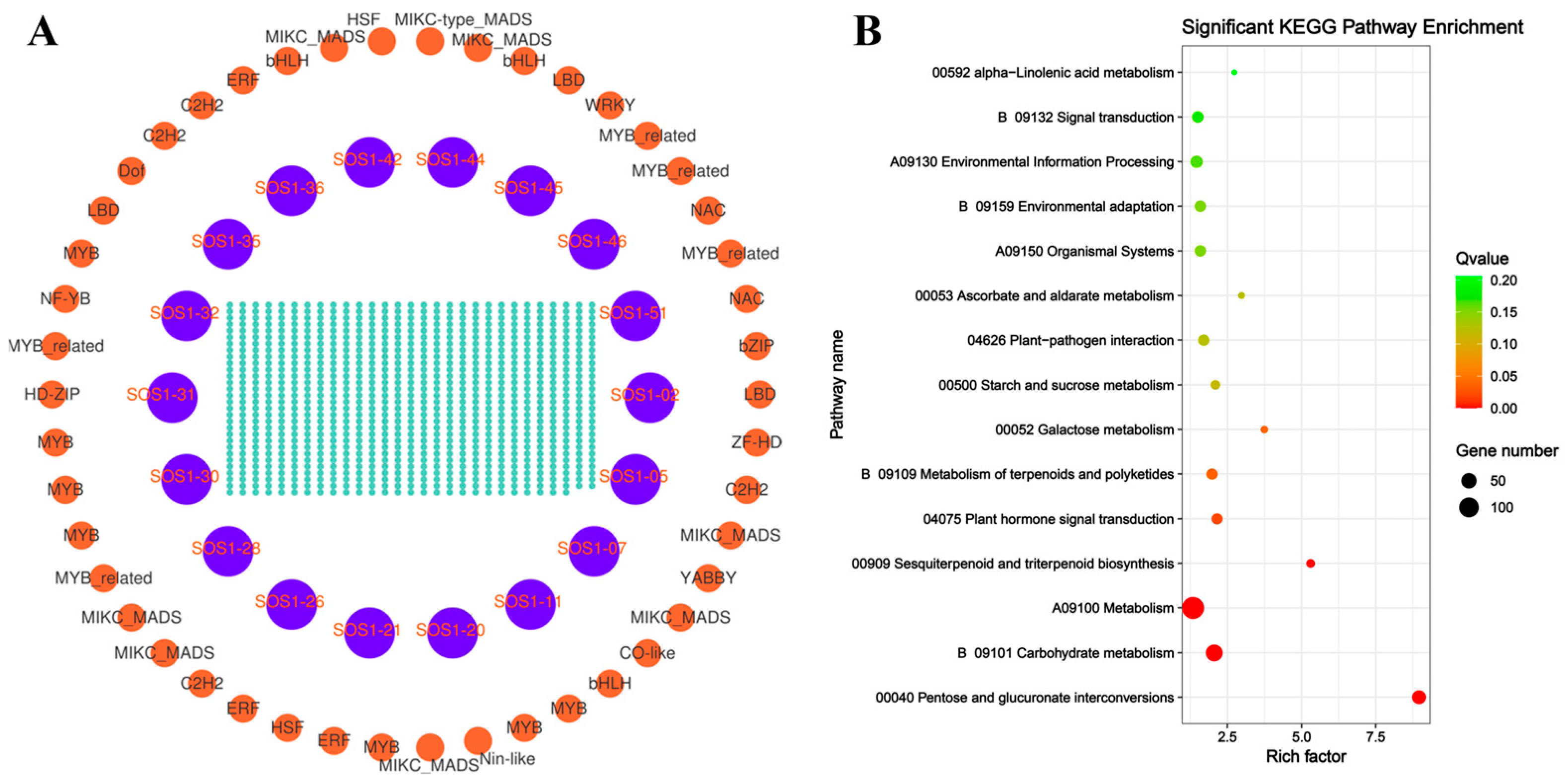 Horticulturae 11 00855 g006
