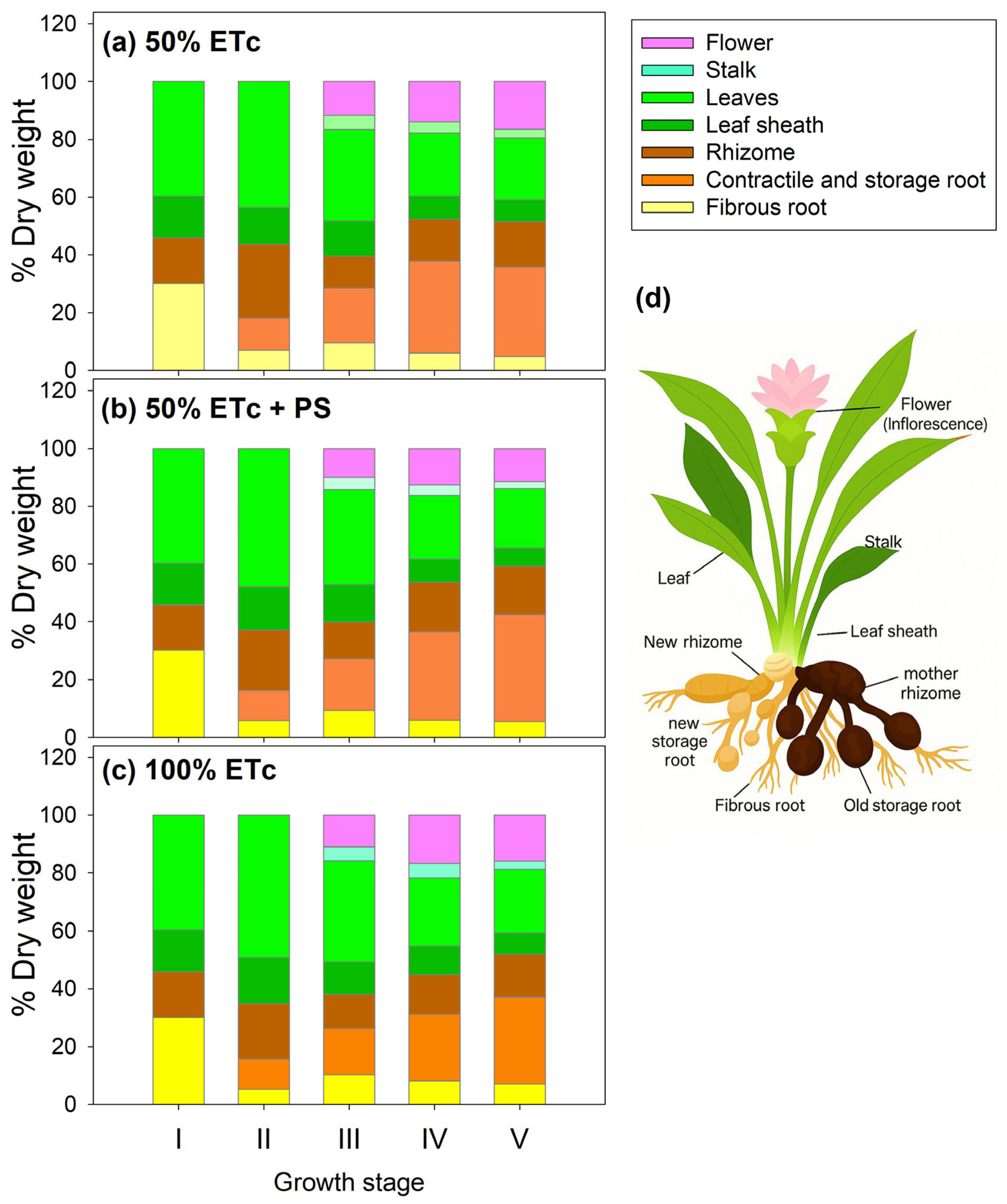Horticulturae 11 00856 g003 Horticulturae 11 00856 g003