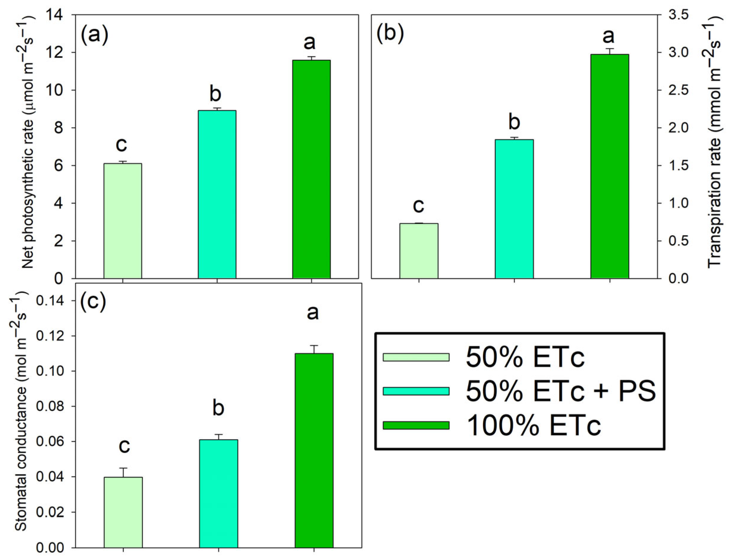 Horticulturae 11 00856 g004 Horticulturae 11 00856 g004