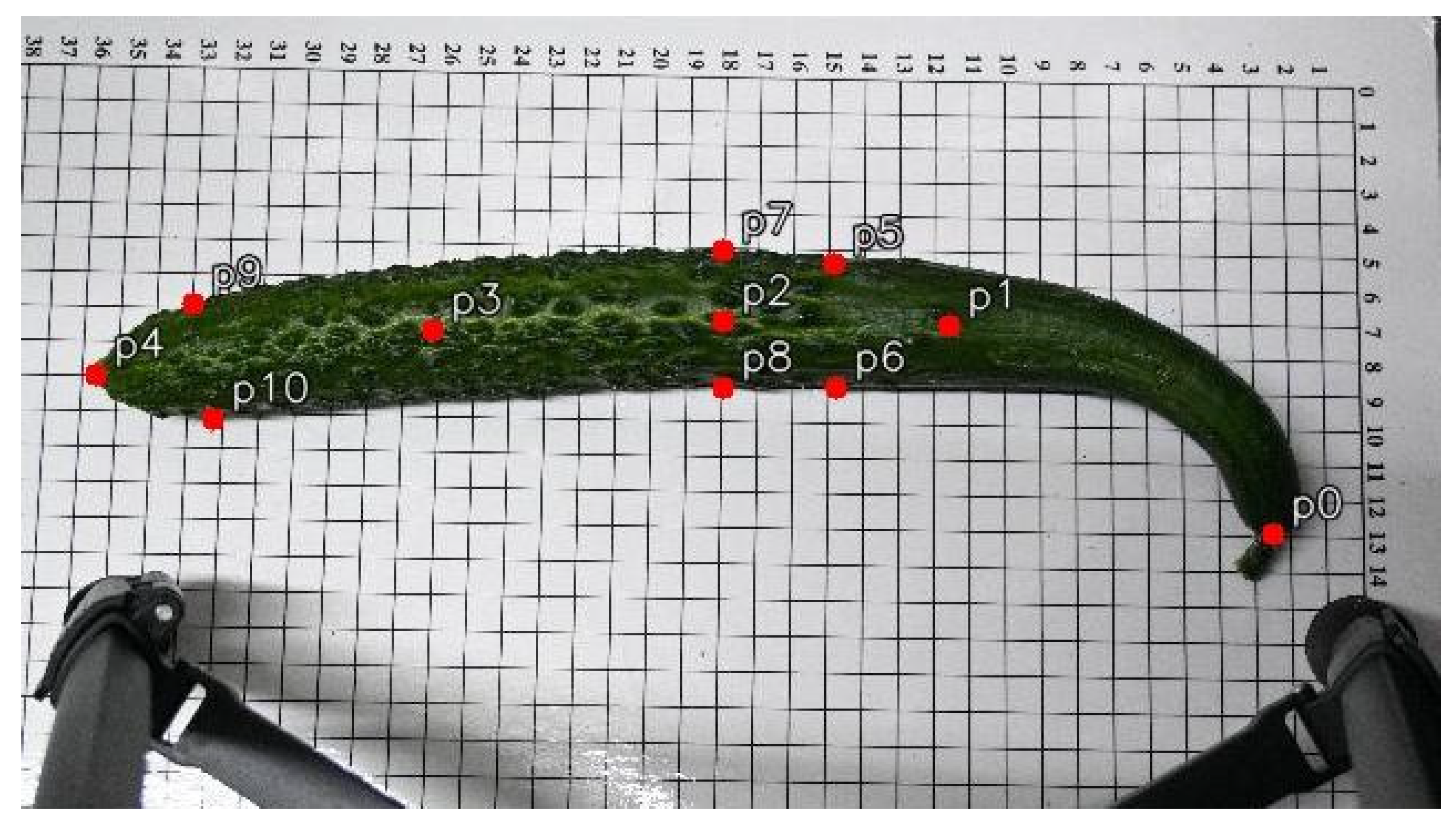 Horticulturae 11 00858 g002