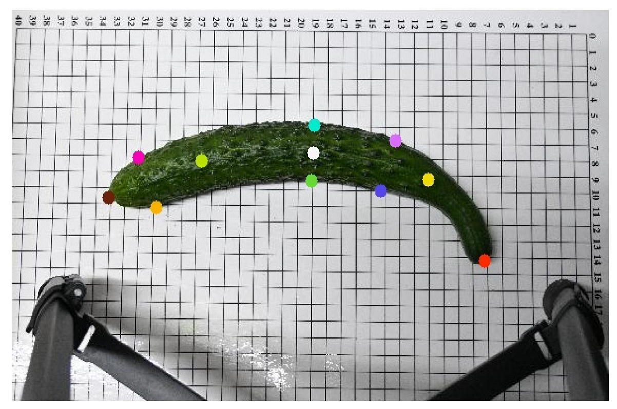 Horticulturae 11 00858 i001