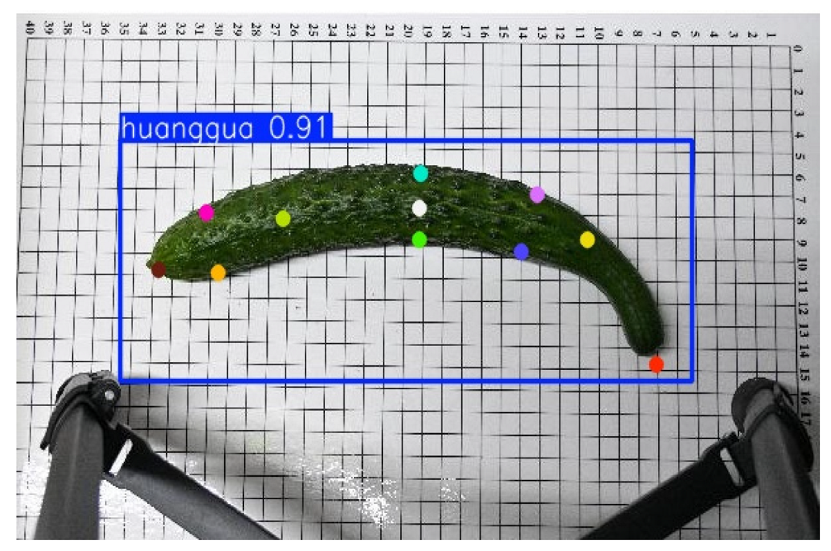 Horticulturae 11 00858 i002