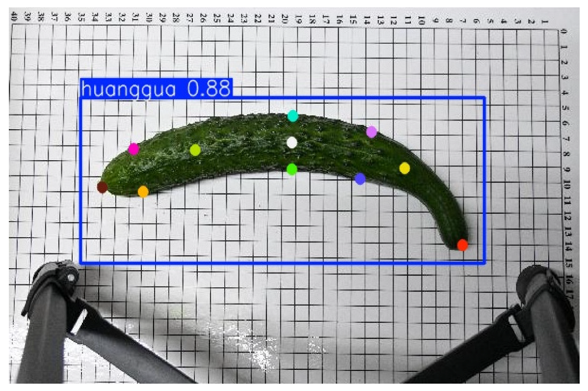 Horticulturae 11 00858 i003