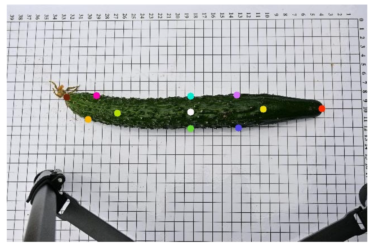 Horticulturae 11 00858 i004