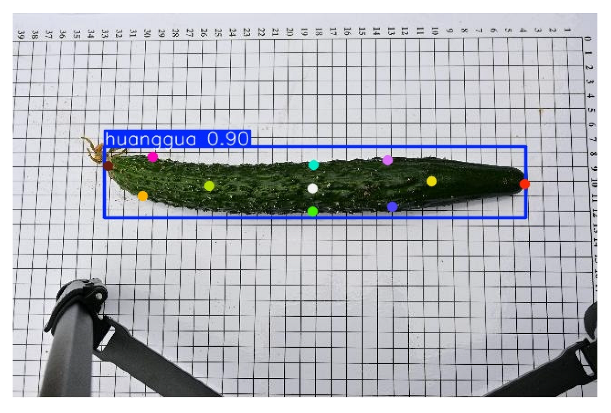 Horticulturae 11 00858 i006