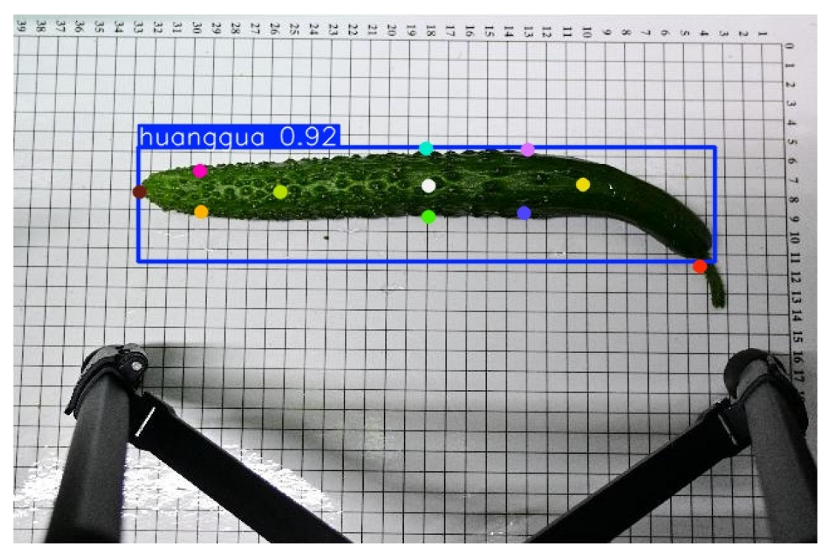 Horticulturae 11 00858 i008