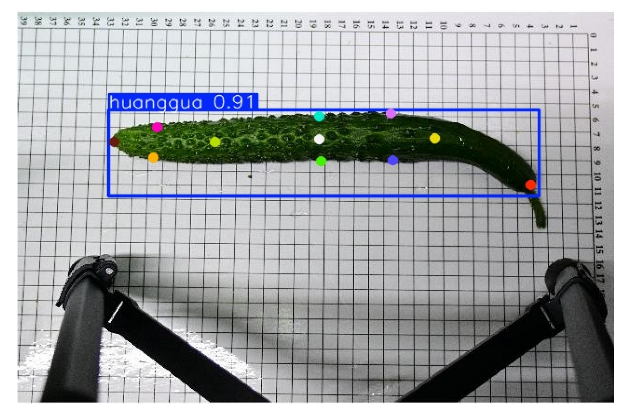 Horticulturae 11 00858 i009