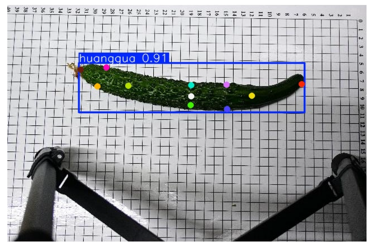 Horticulturae 11 00858 i011