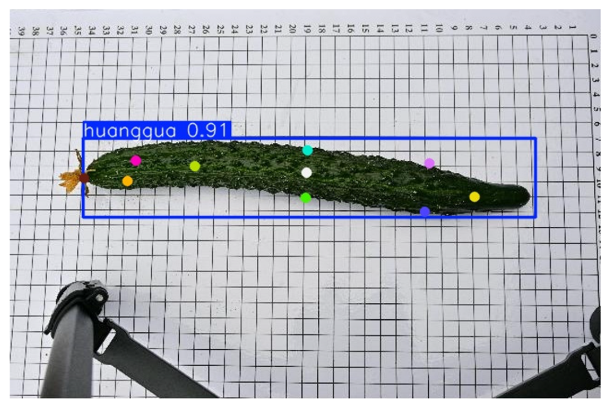 Horticulturae 11 00858 i014