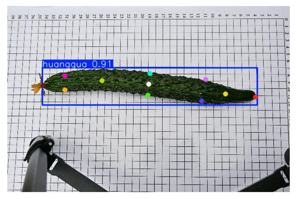 Horticulturae 11 00858 i015