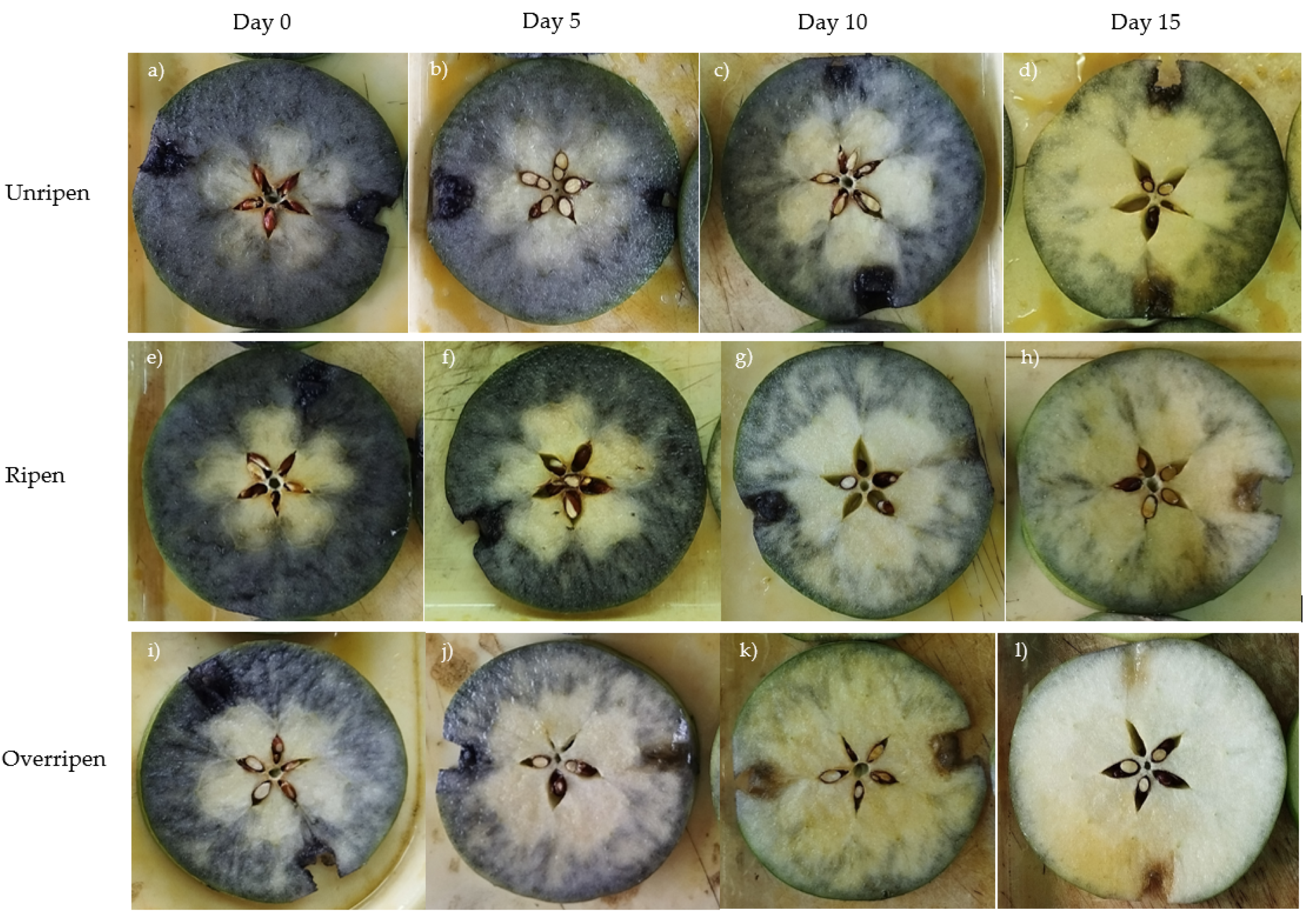 Horticulturae 11 00868 g001 Horticulturae 11 00868 g001
