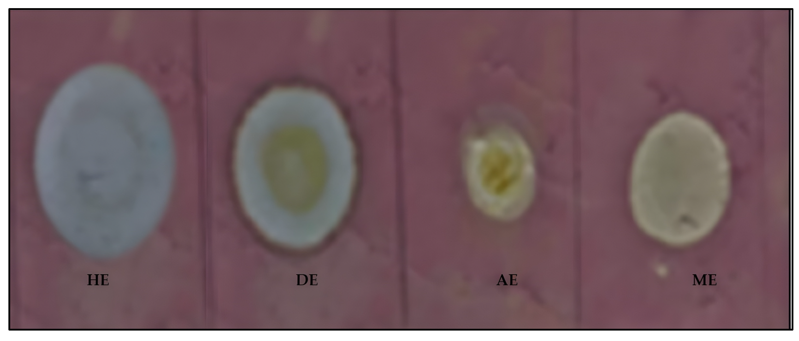 Horticulturae 11 00869 g001