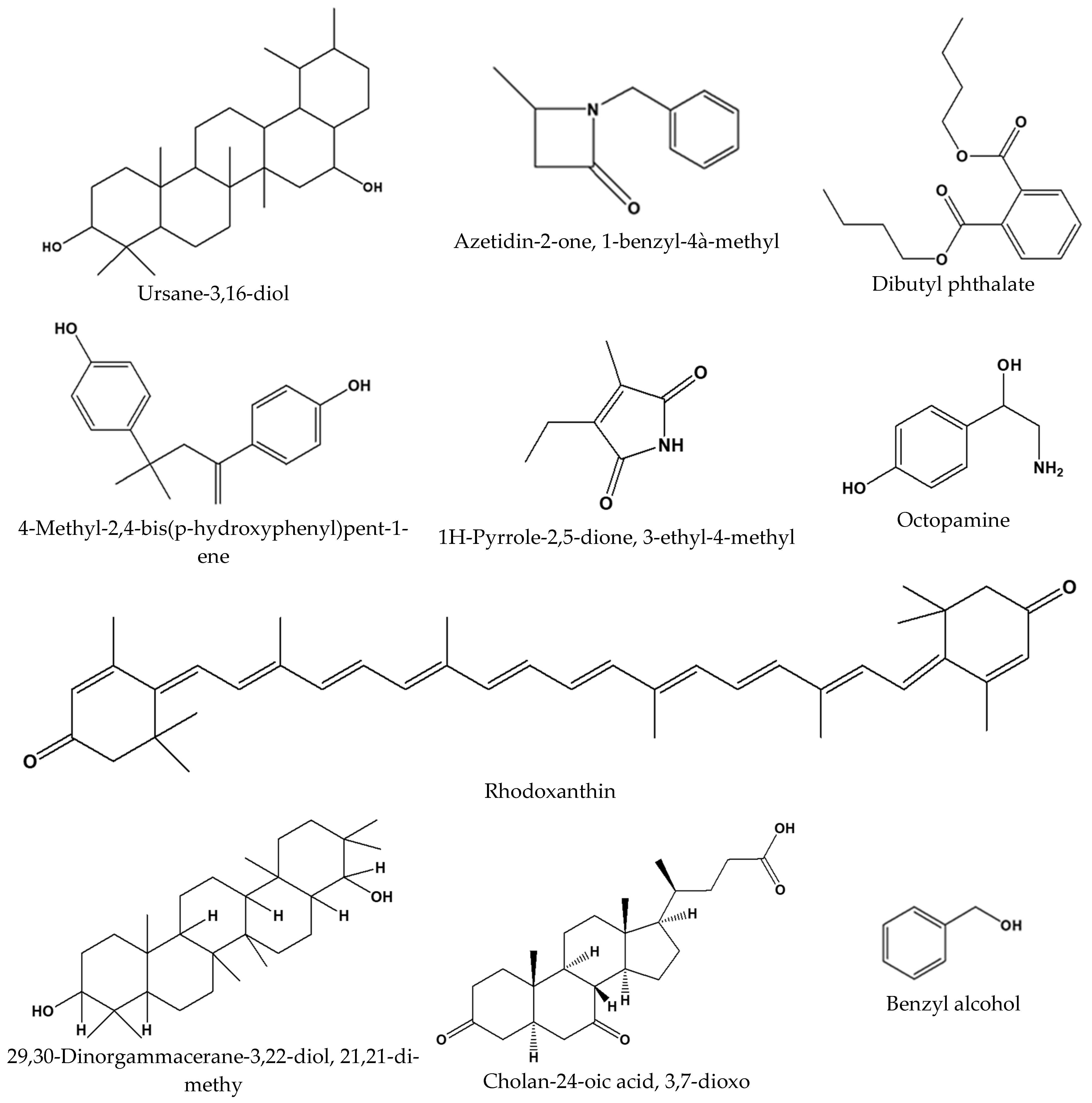 Horticulturae 11 00869 g004
