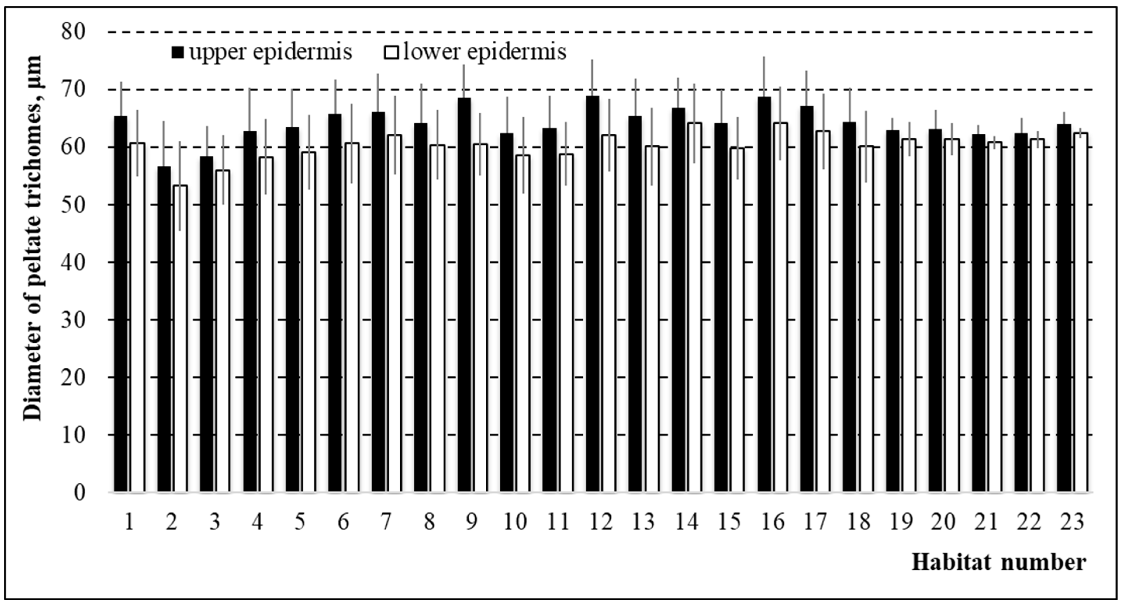 Horticulturae 11 00871 g006