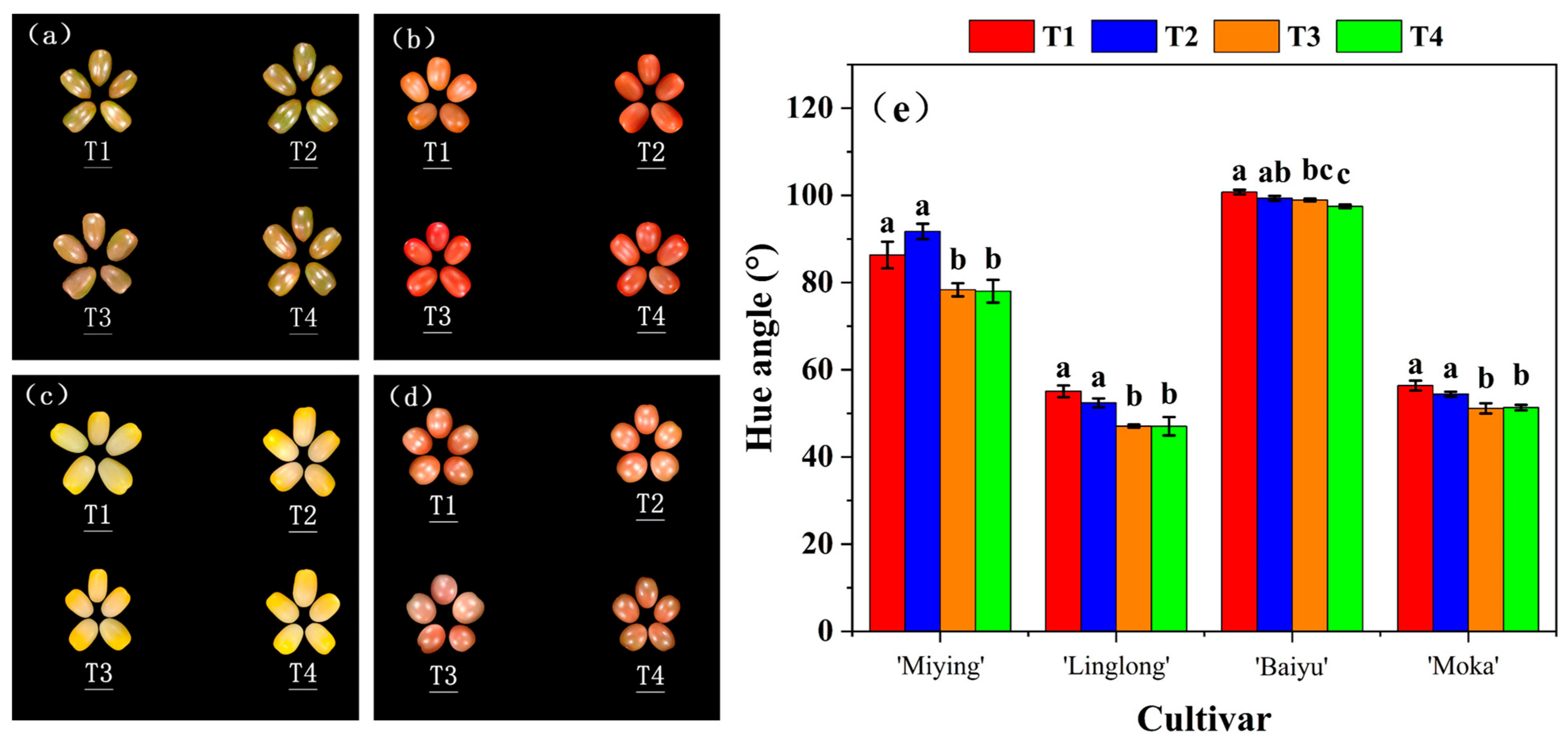 Horticulturae 11 00874 g003