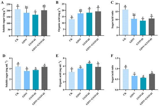 Grapevine Berry Inner Necrosis Virus (GINV) and Grapevine Yellow