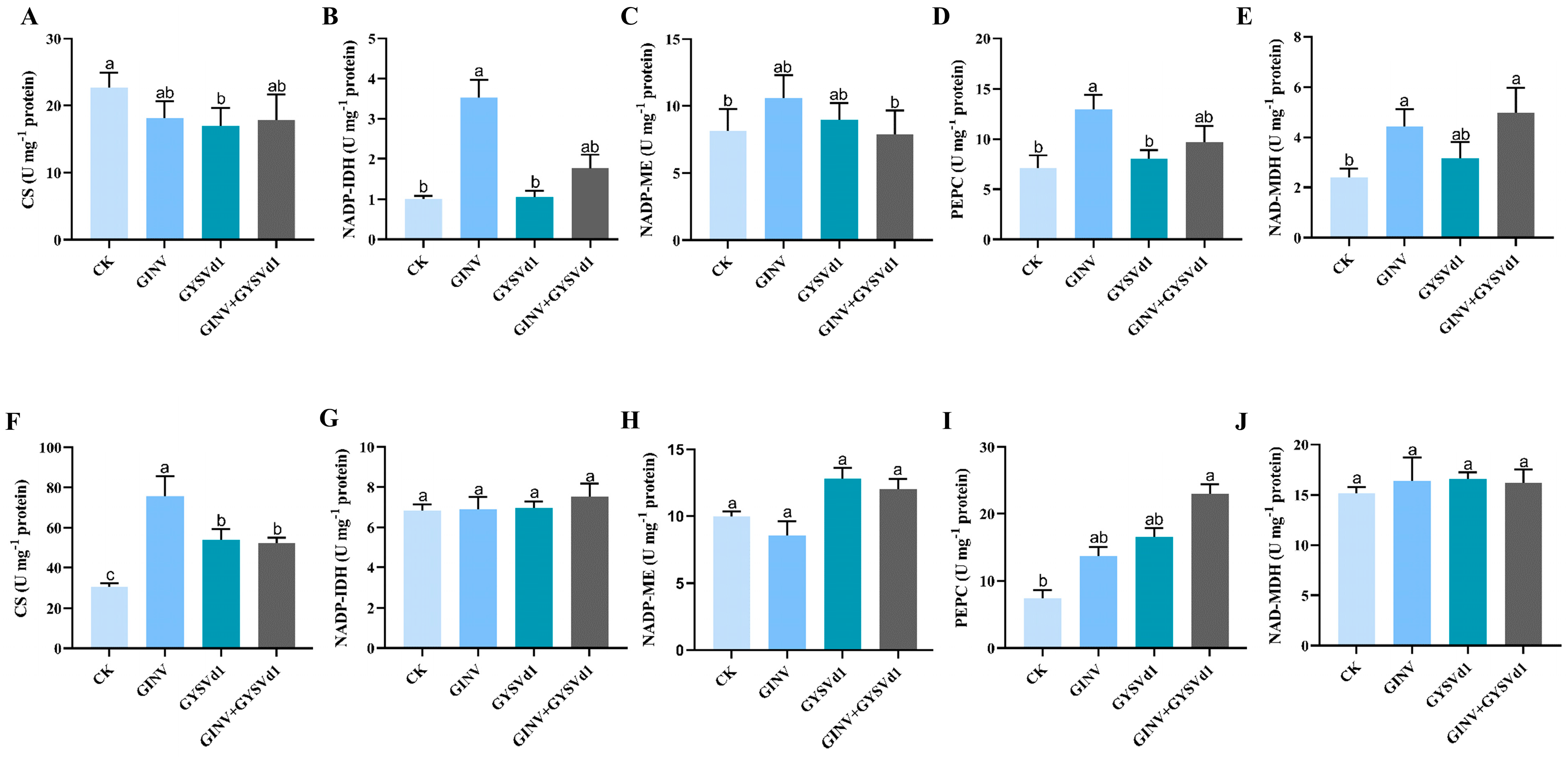 Horticulturae 11 00879 g006