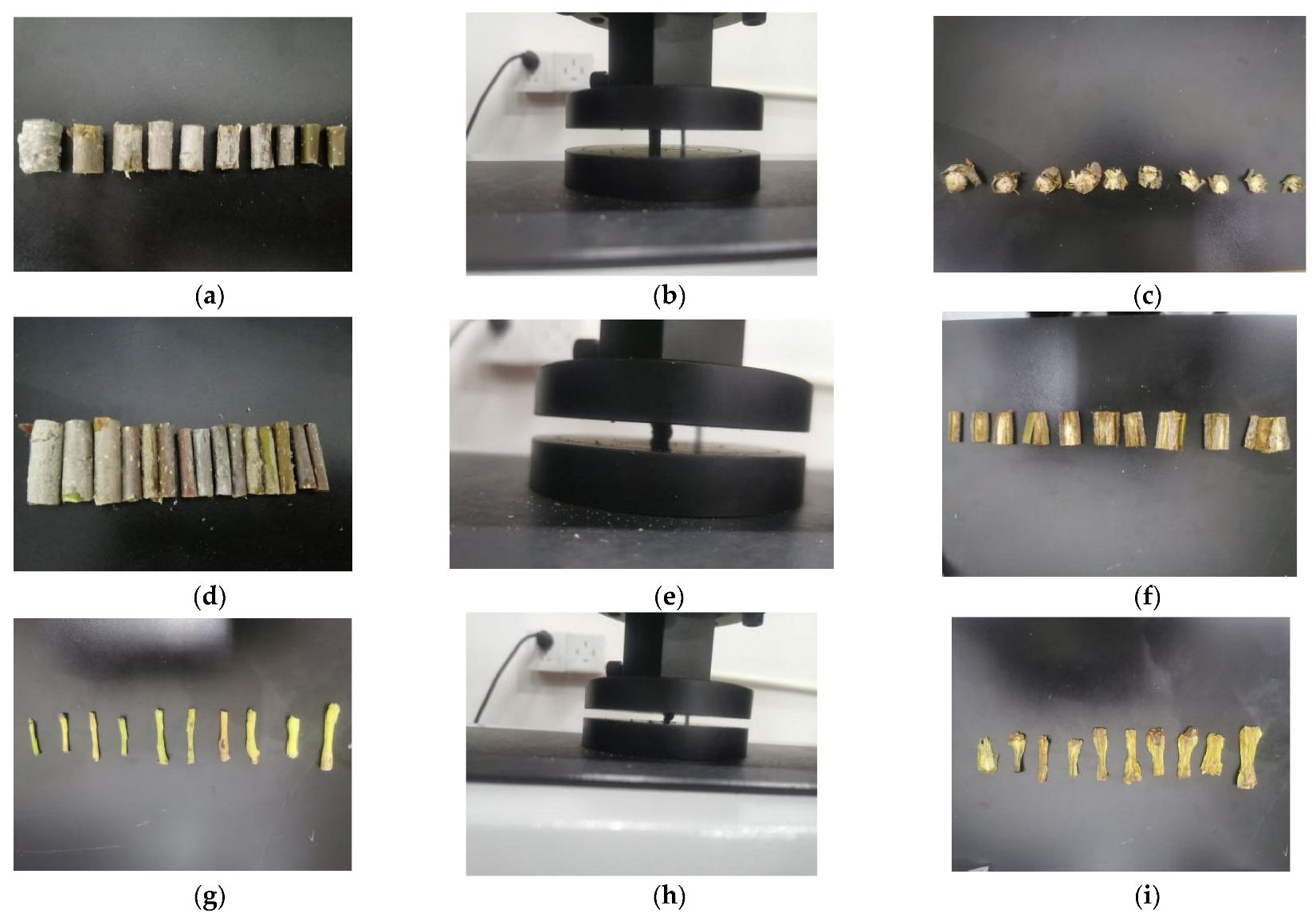 Horticulturae 11 00880 g001