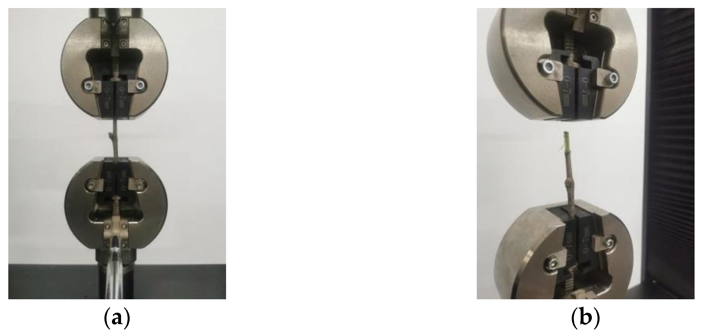 Horticulturae 11 00880 g005