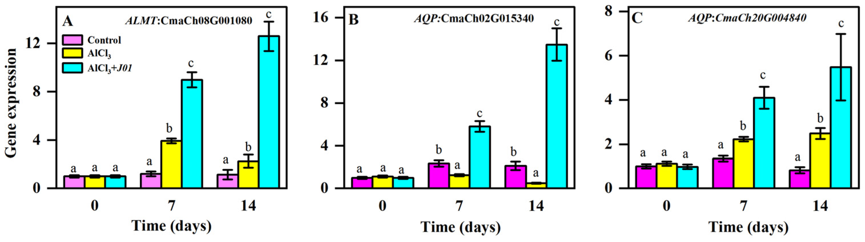 Horticulturae 11 00887 g004
