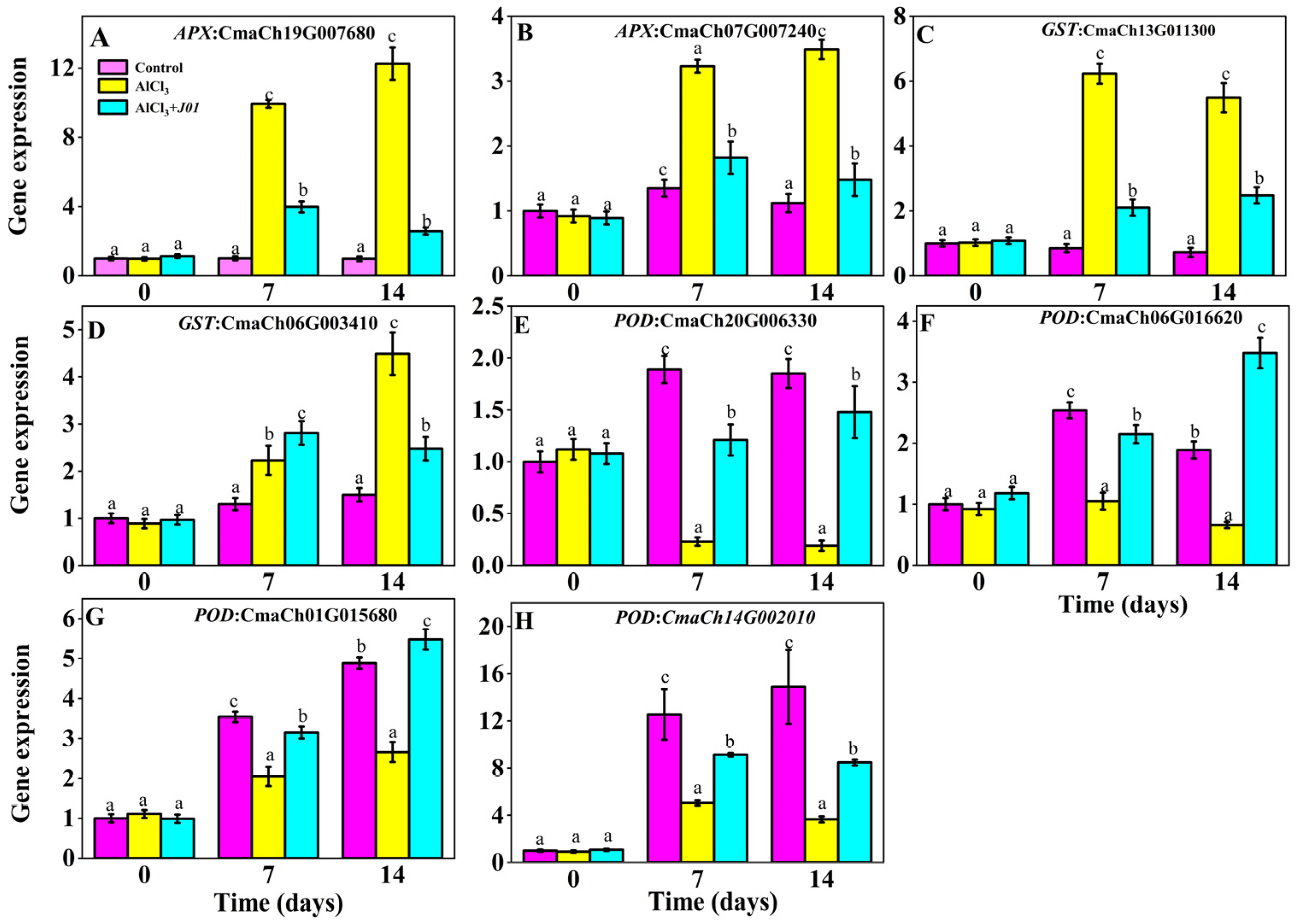 Horticulturae 11 00887 g005