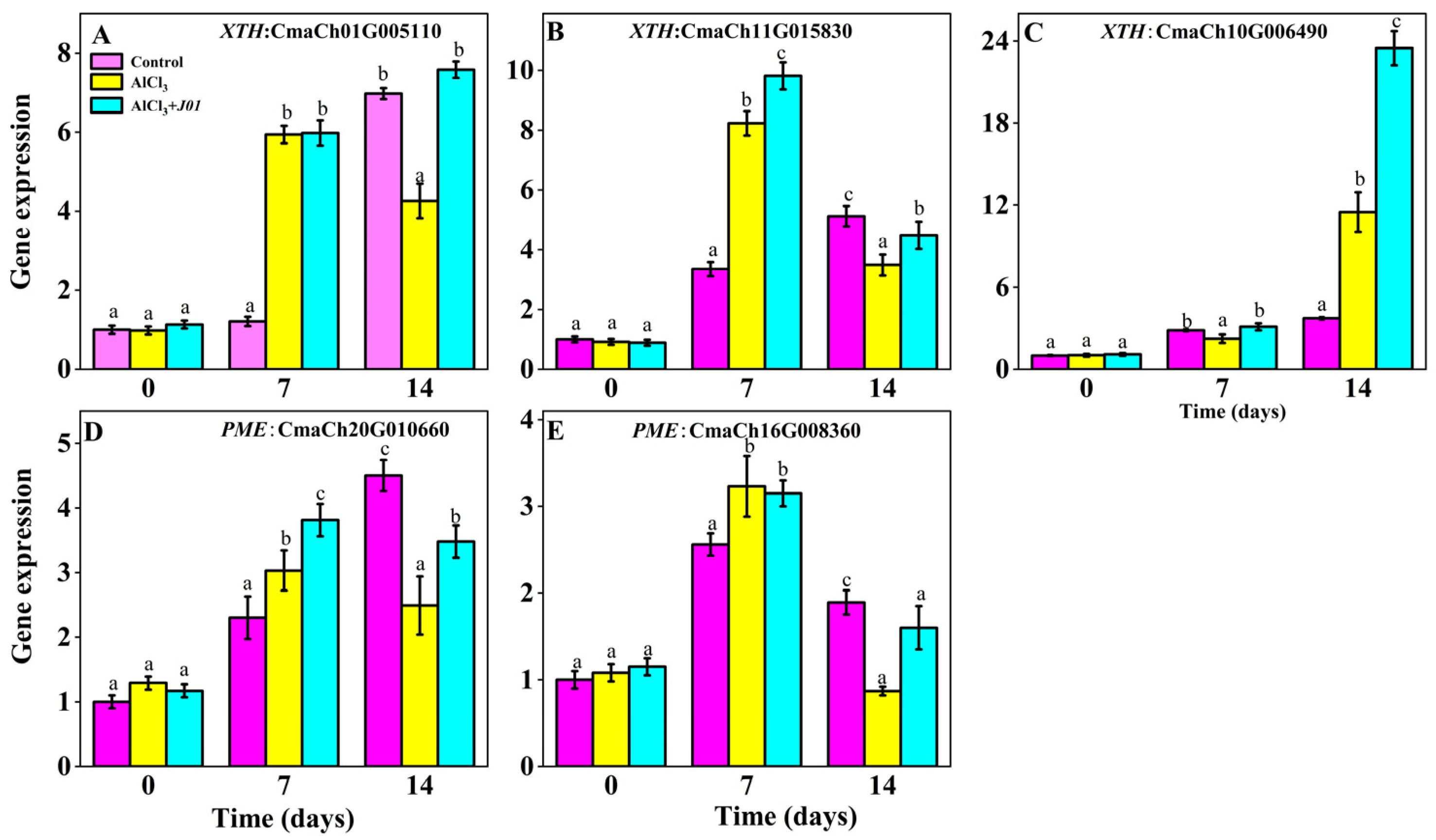 Horticulturae 11 00887 g006