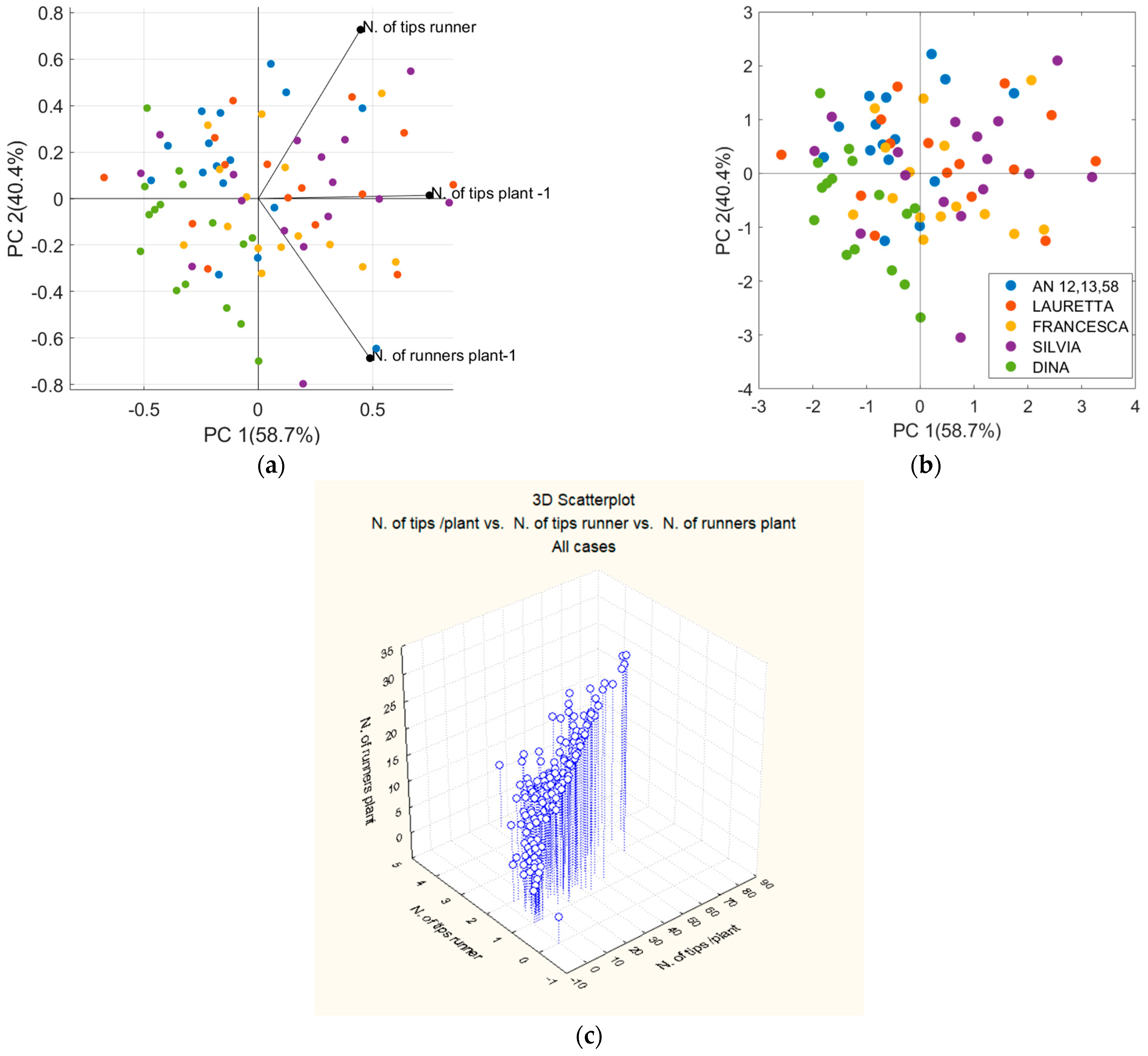Horticulturae 11 00888 g002