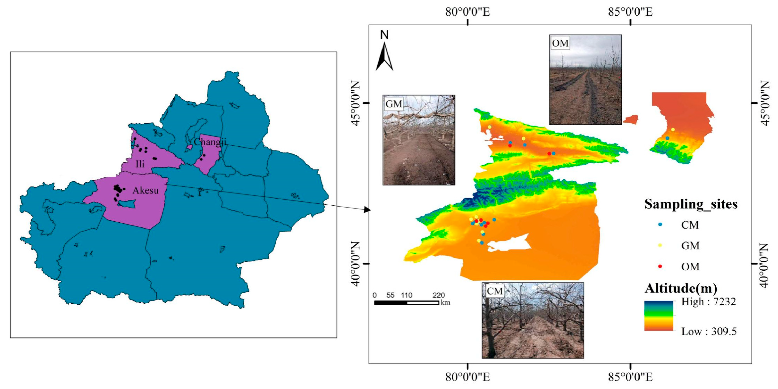 Horticulturae 11 00891 g001
