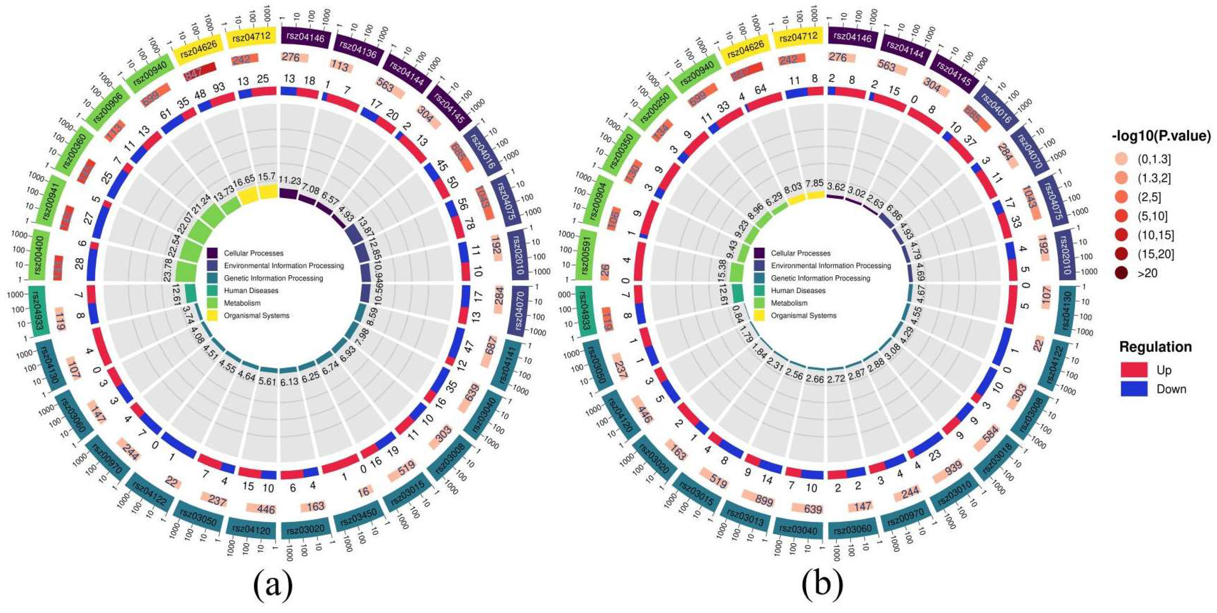 Horticulturae 11 00896 g003