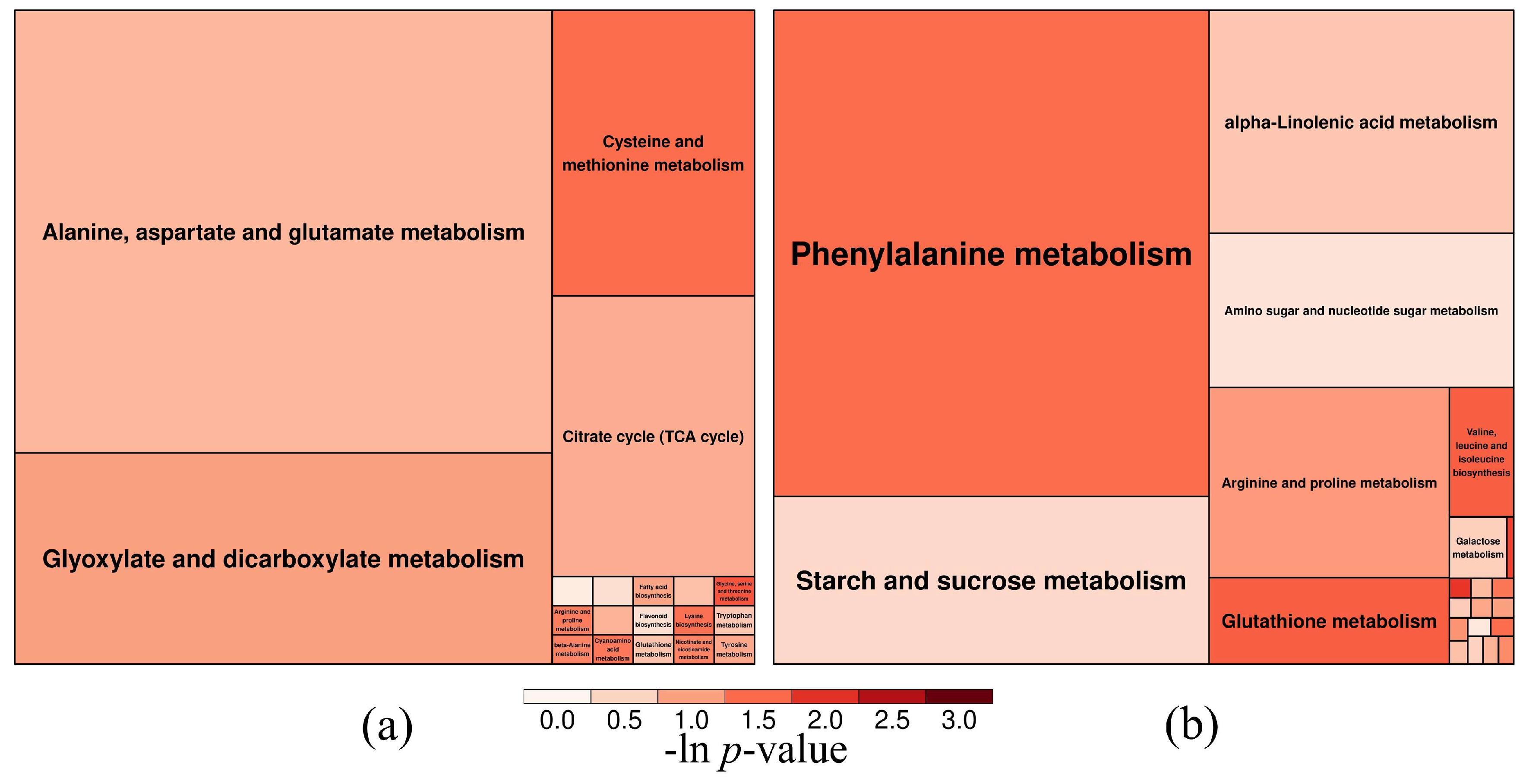 Horticulturae 11 00896 g006